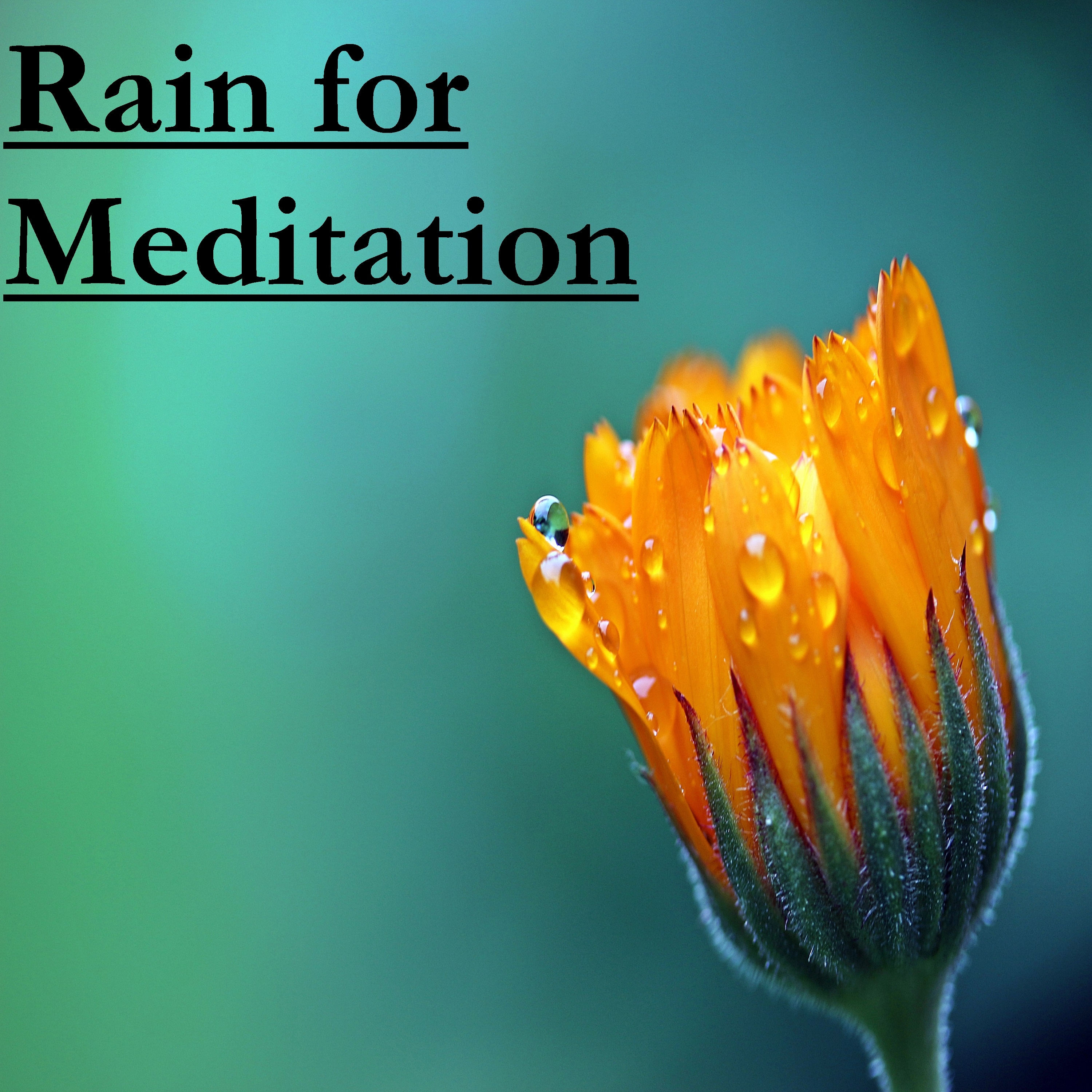 17 Rain Tracks for Guided Meditation, Yoga or Sleep