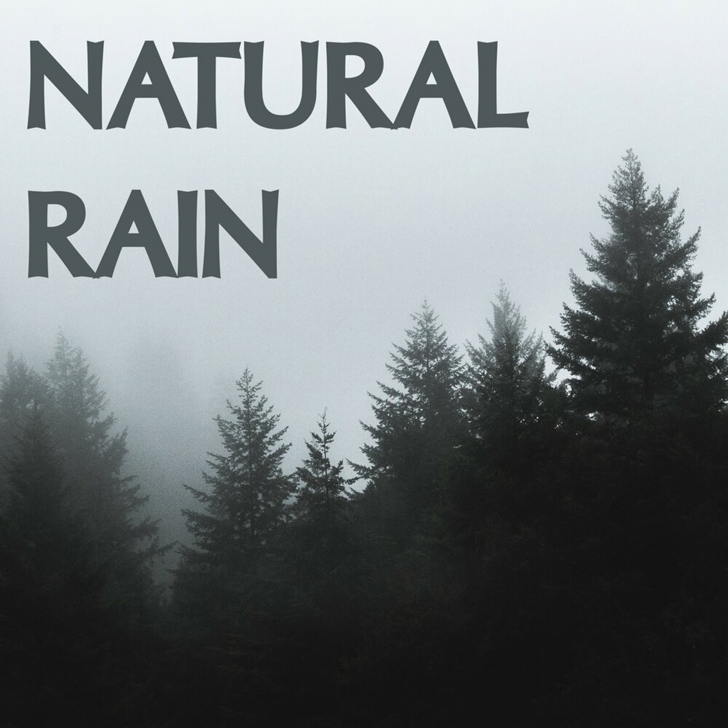 15 Natural Rain Sounds