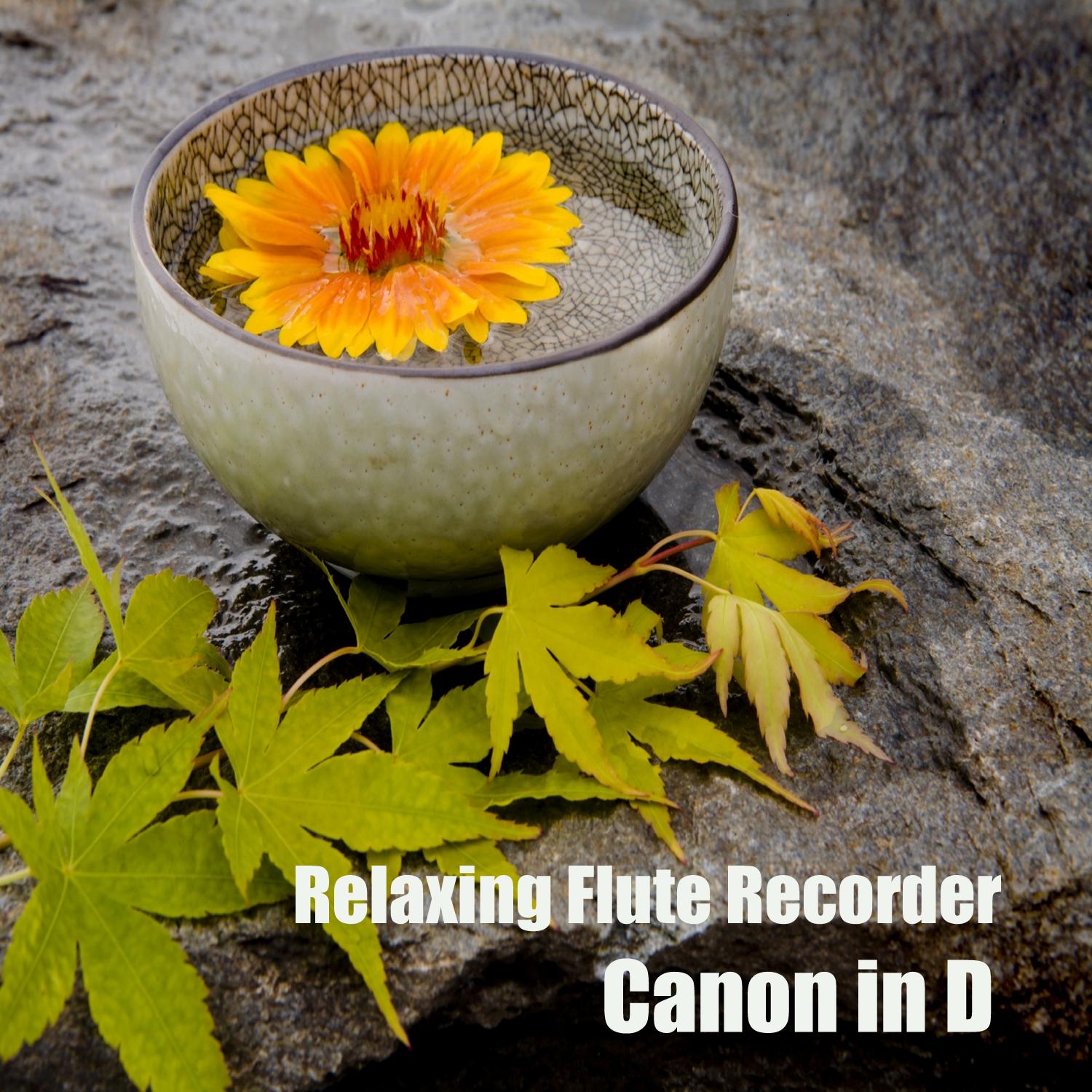 Canon in D: Relaxing Flute Recorder