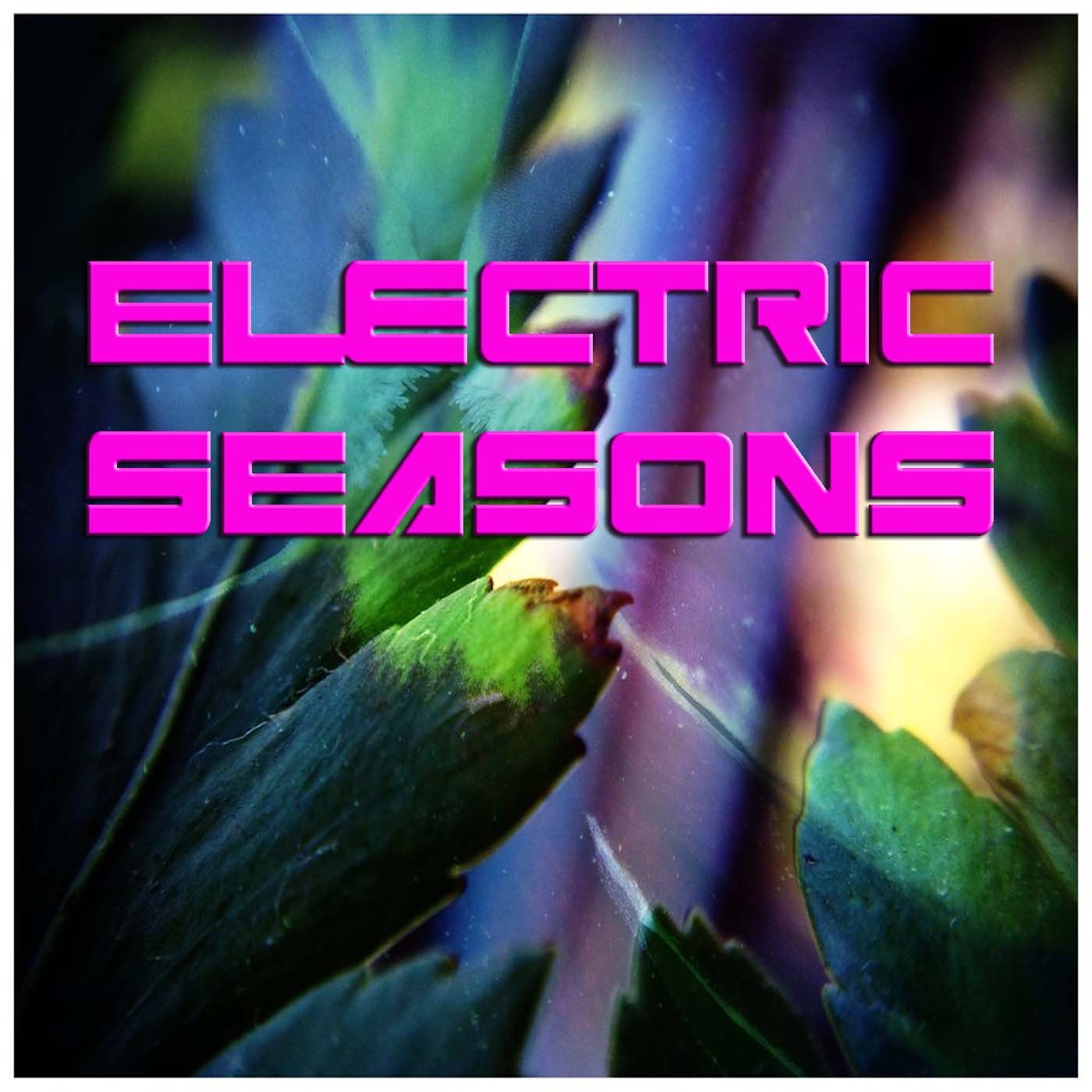 Electric Seasons