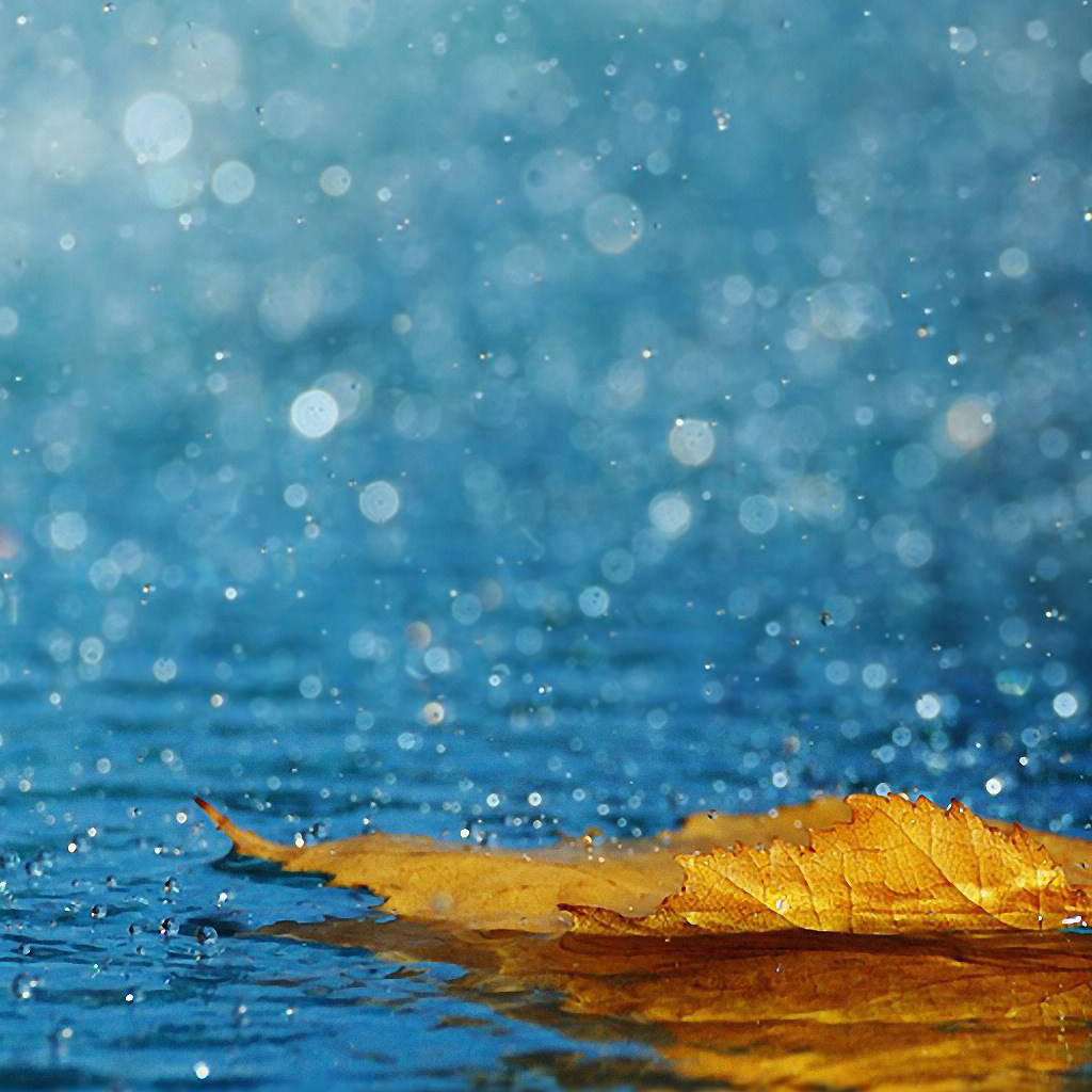 How  To  Forget  You