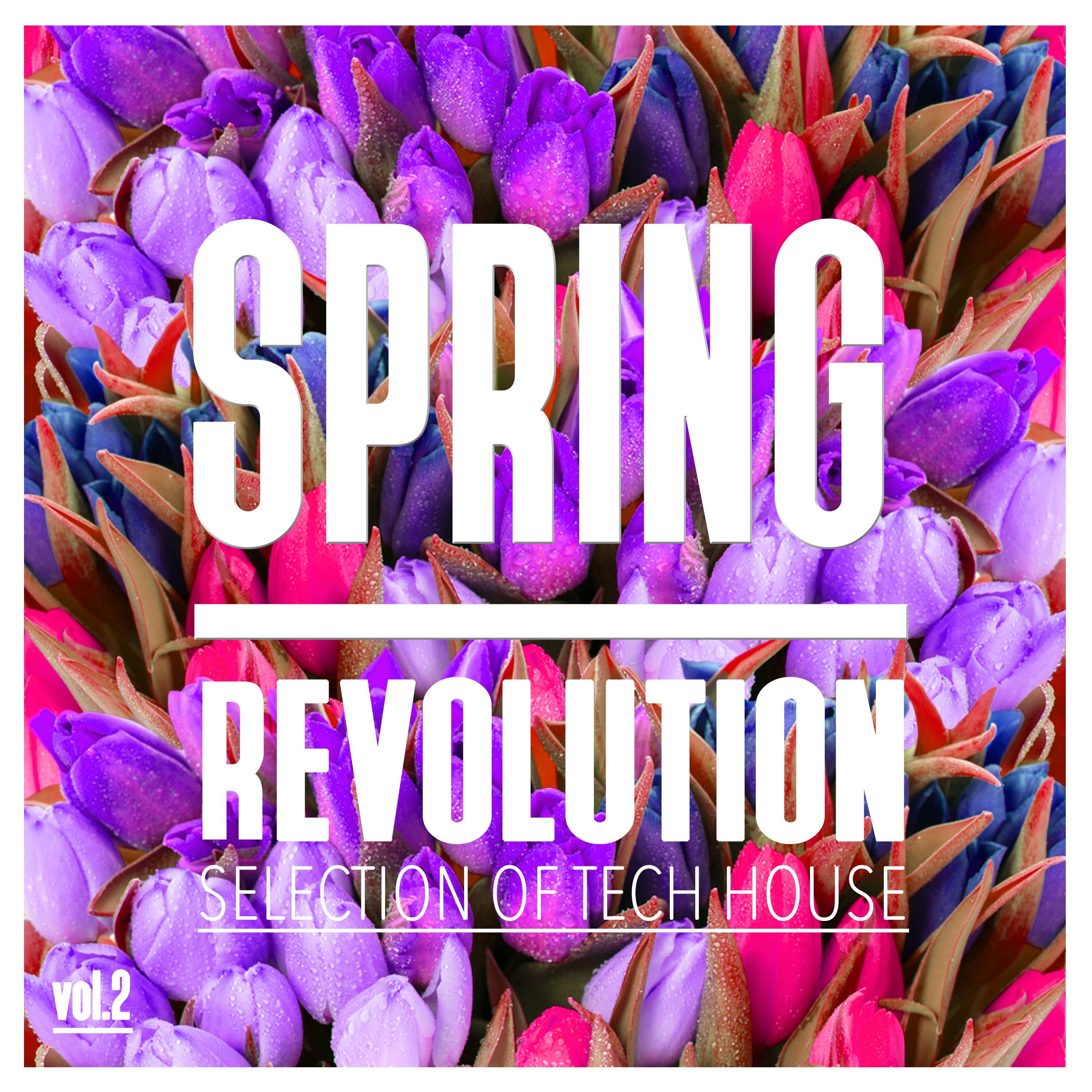 Spring Revolution, Vol. 2 - Selection of Tech House
