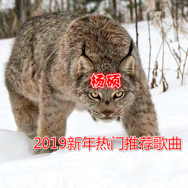 2019 xin nian re men tui jian ge qu