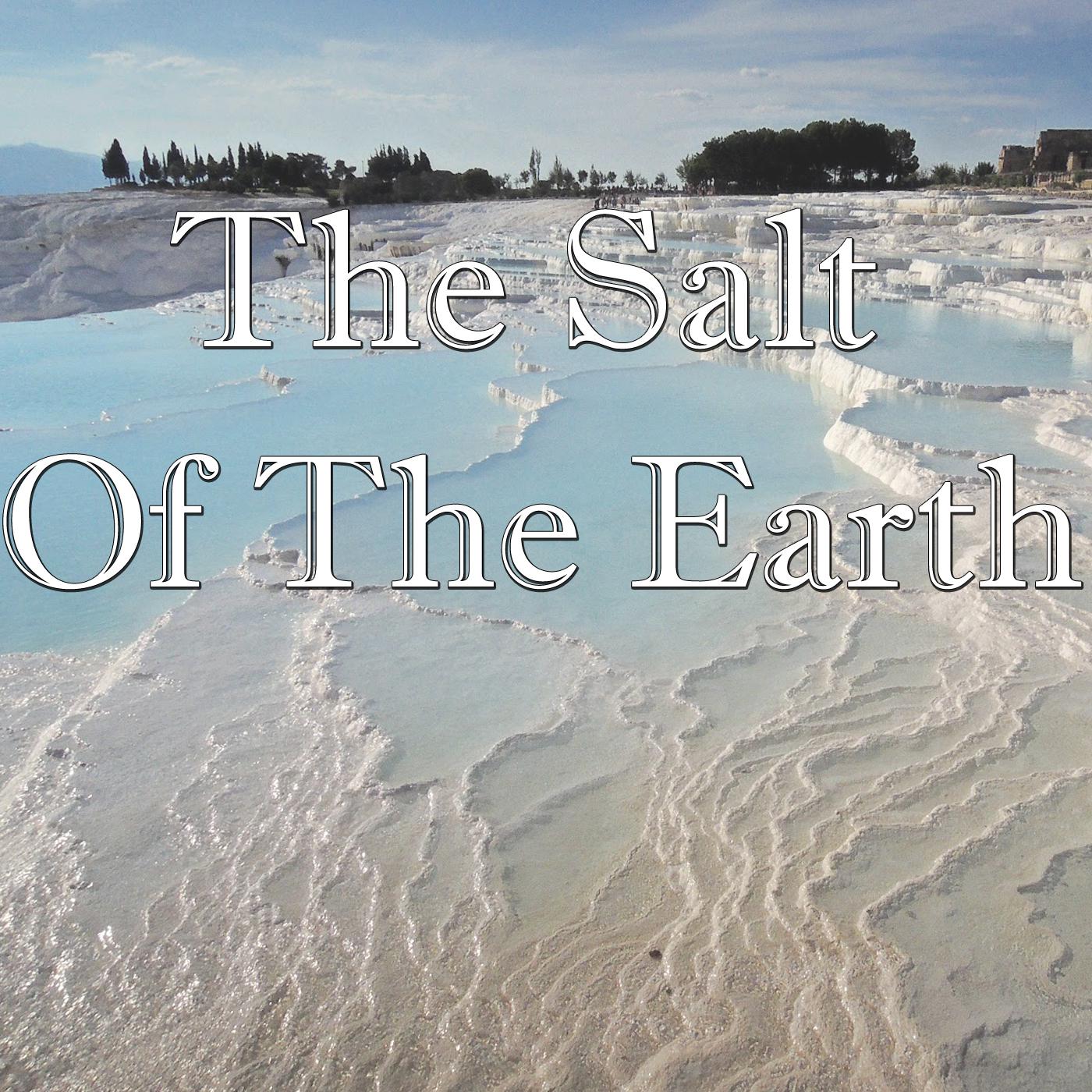 The Salt Of The Earth