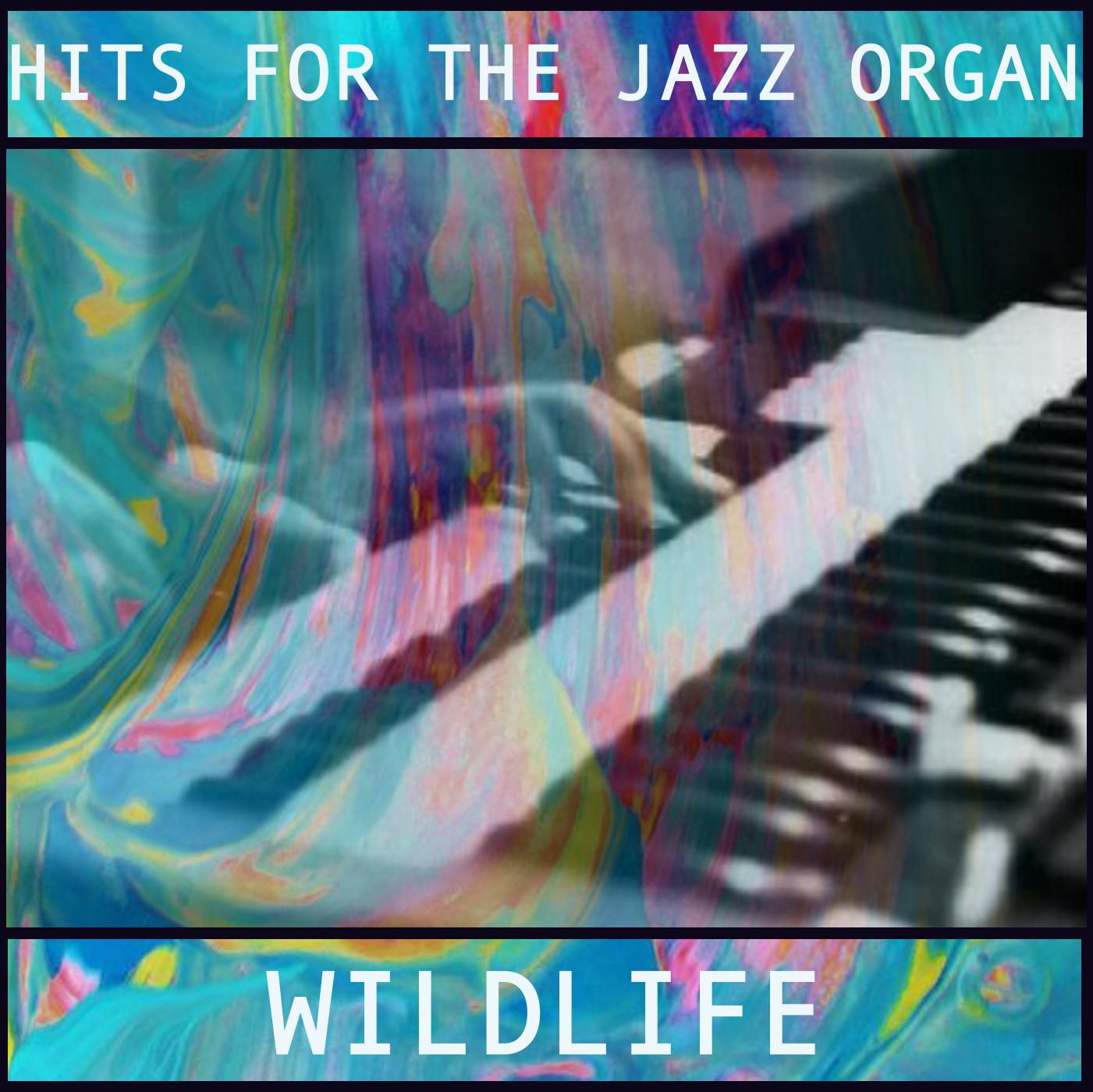 Hits for the Jazz Organ