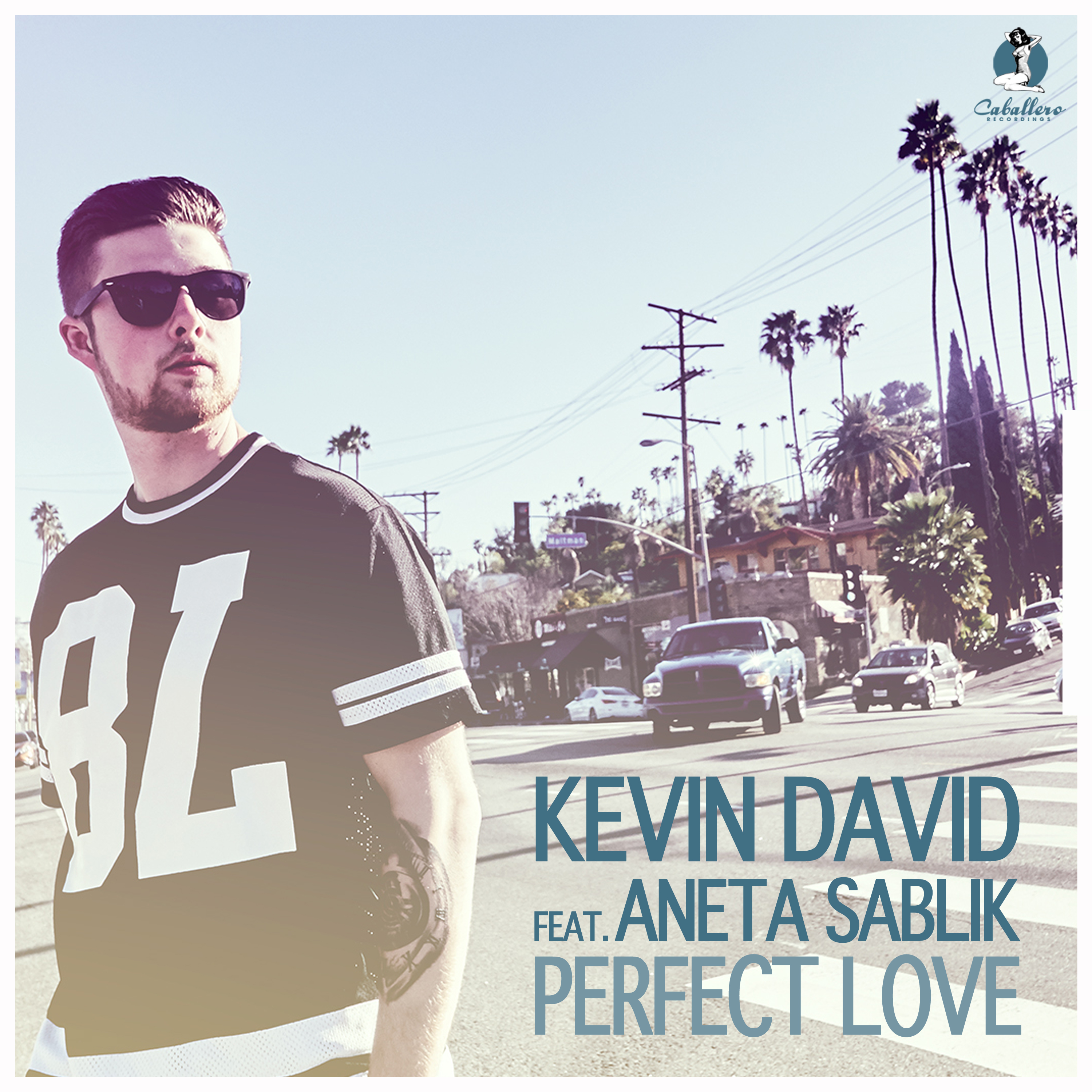 Perfect Love (Radio Mix) [Feat. Aneta Sablik]