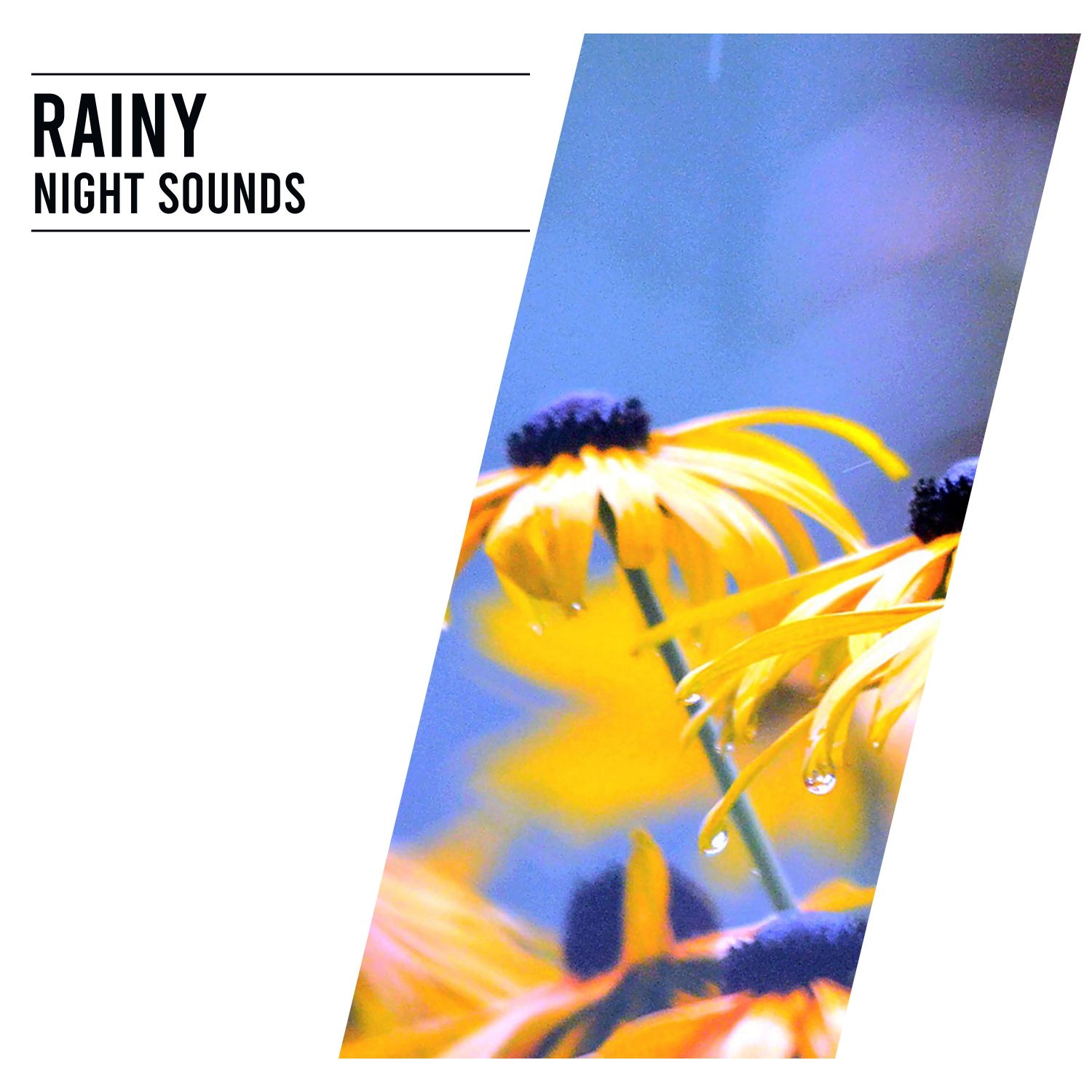 16 Rainy Night Sounds