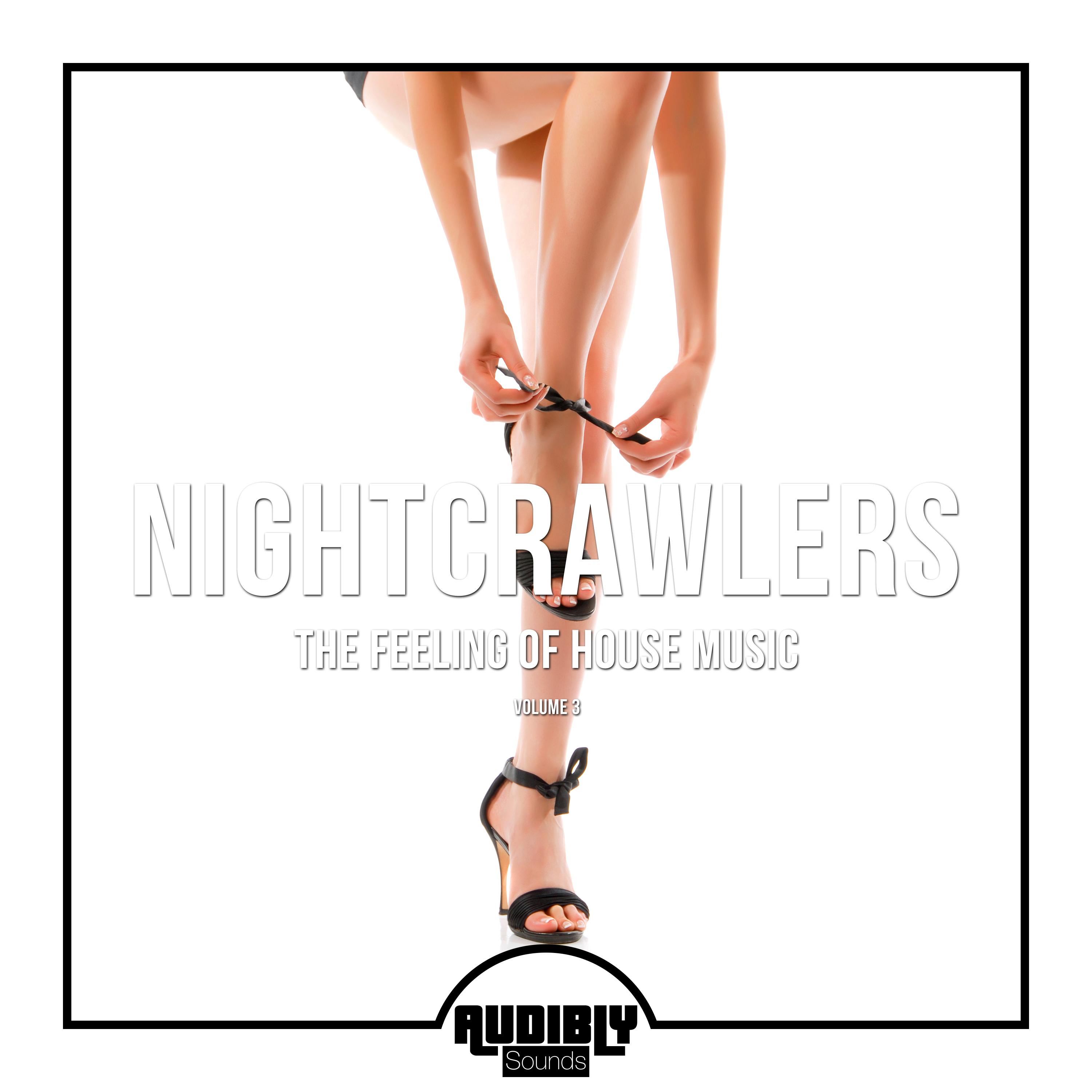 Nightcrawlers - The Feeling of House Music, Vol. 3