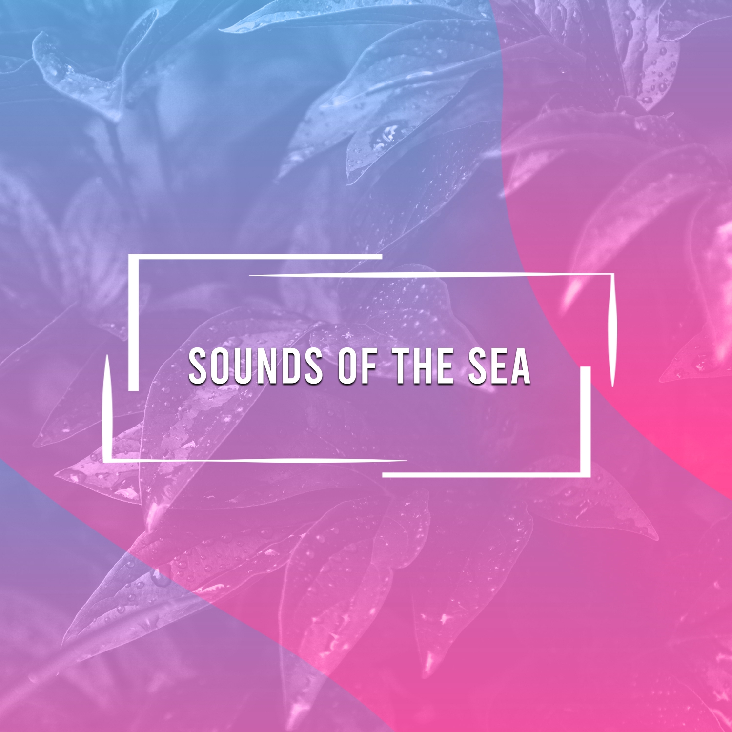 12 Sounds of the Sea and Rainfall Tracks