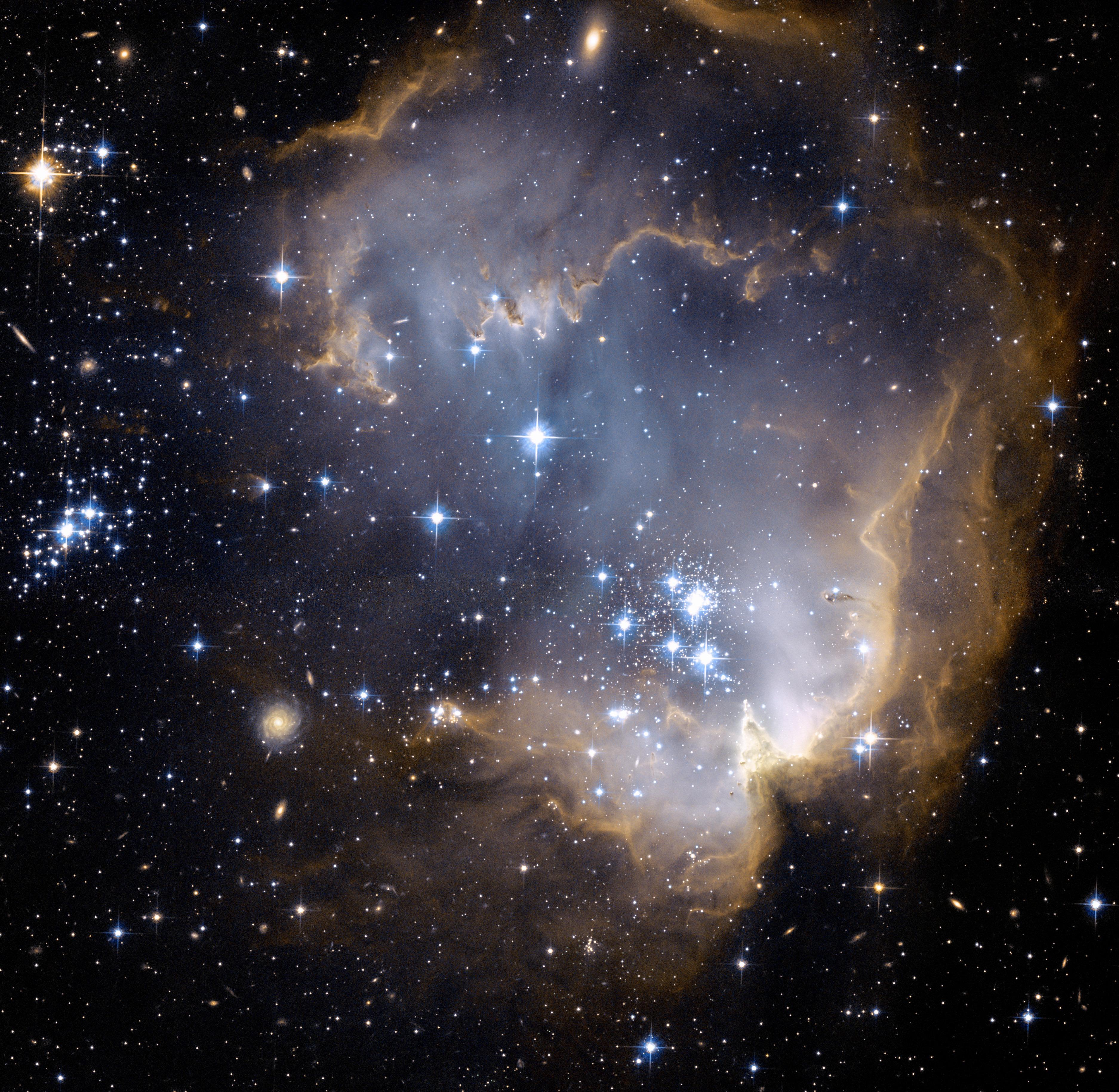 Stardust Wonders