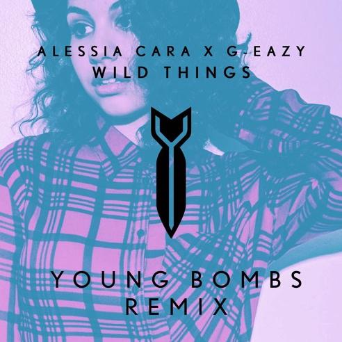 Wild Things (Young Bombs Remix)