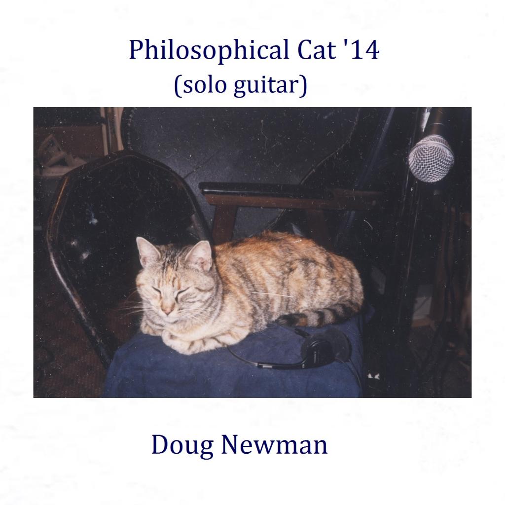 Philosophical Cat '14 (Solo Guitar Take)