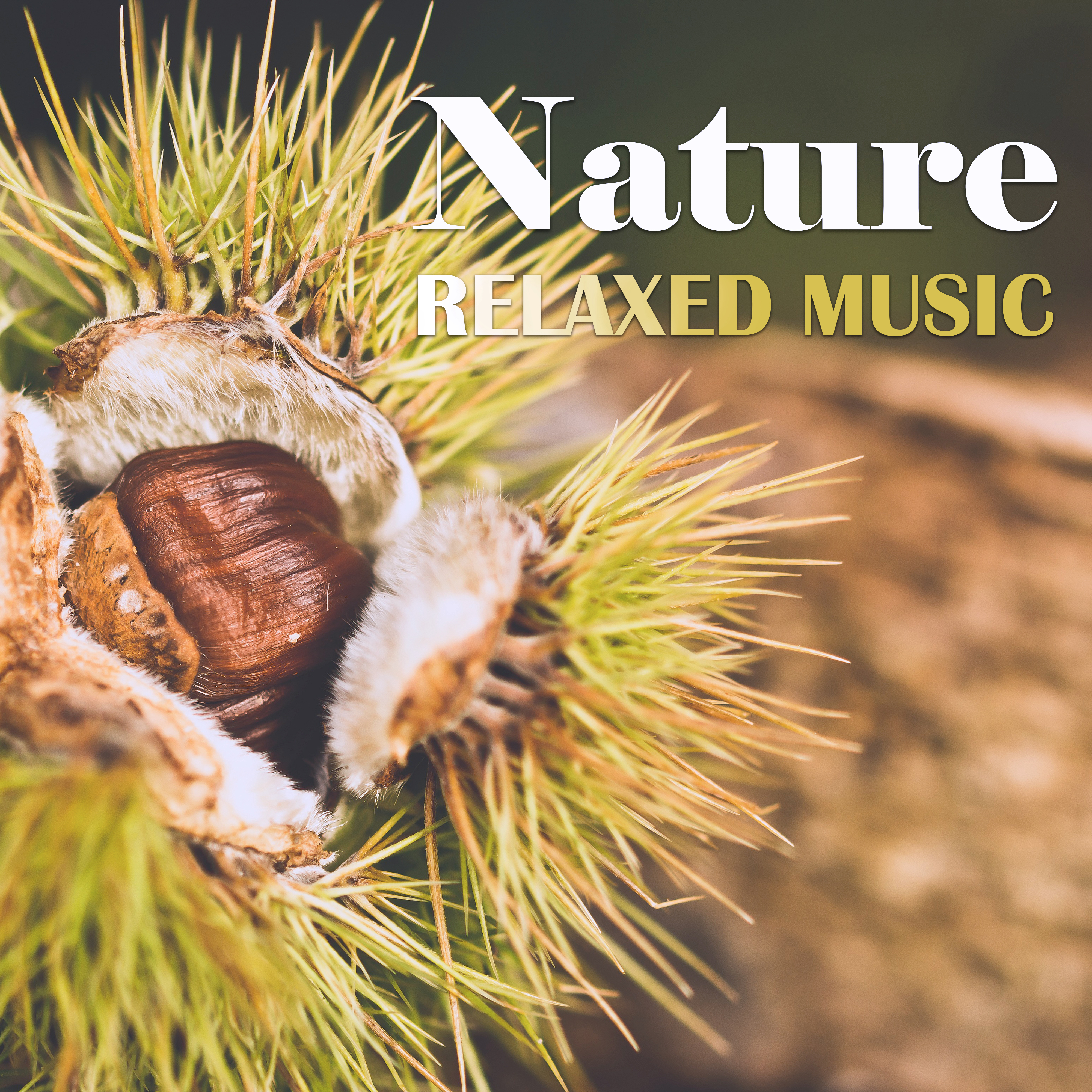 Nature Relaxed Music