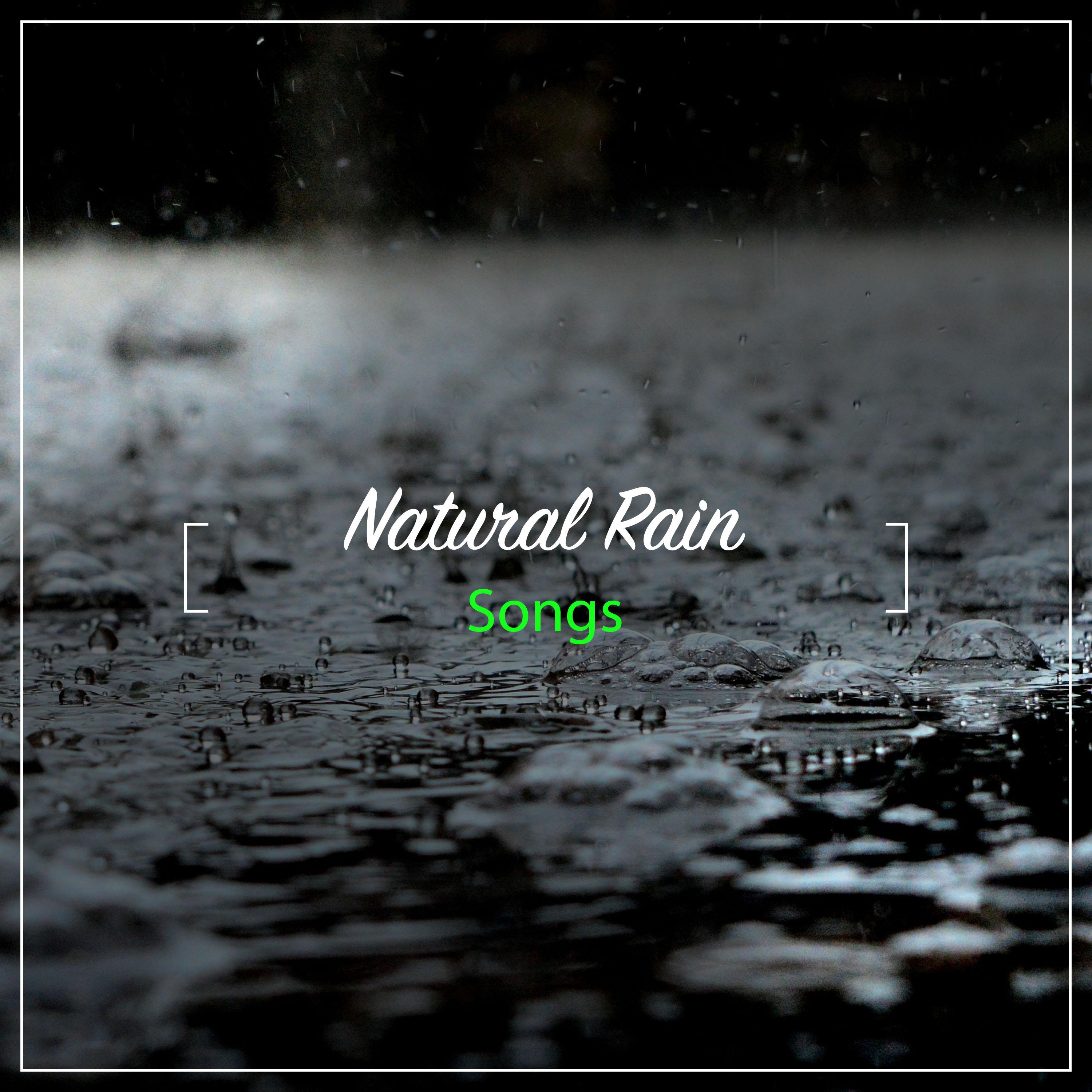 13 Natural Rain Songs for Inner Peace