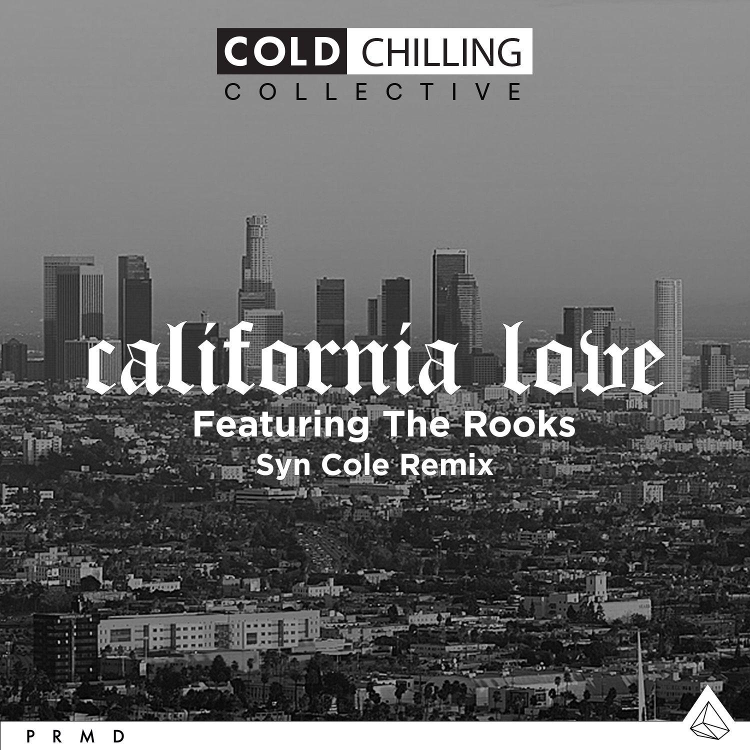 California Love (feat. The Rooks) [Syn Cole Remix]