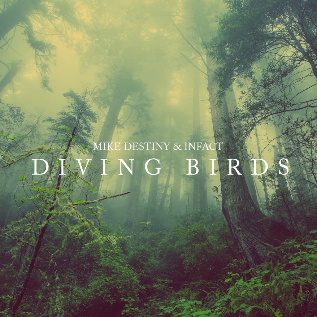 Diving Birds