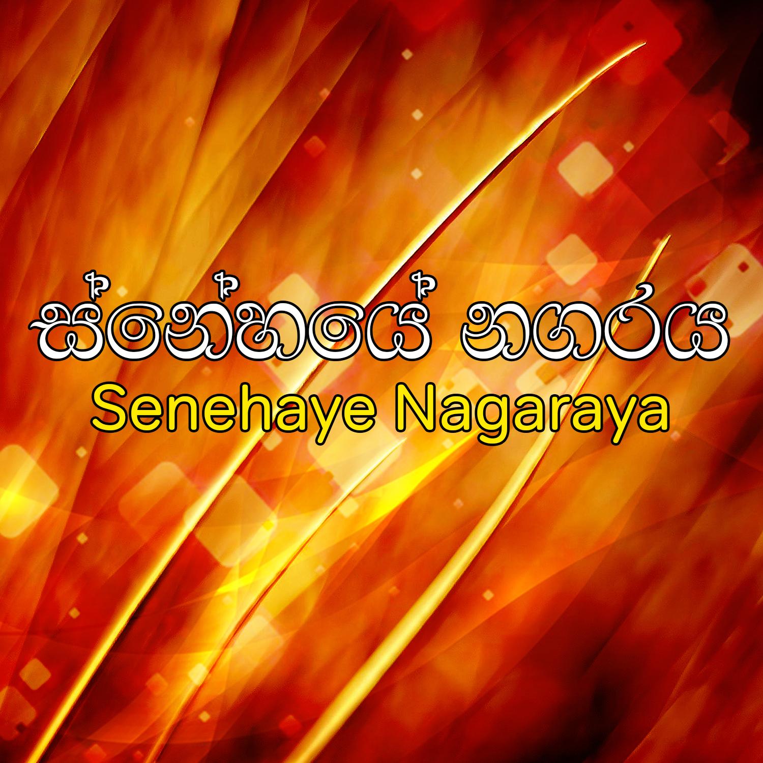 Senehaye Nagaraya