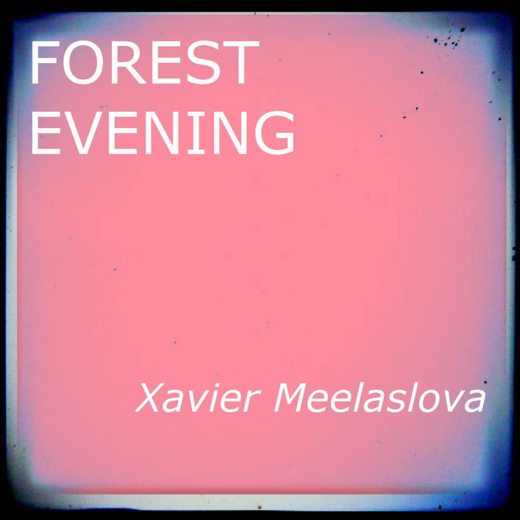 Forest Evening