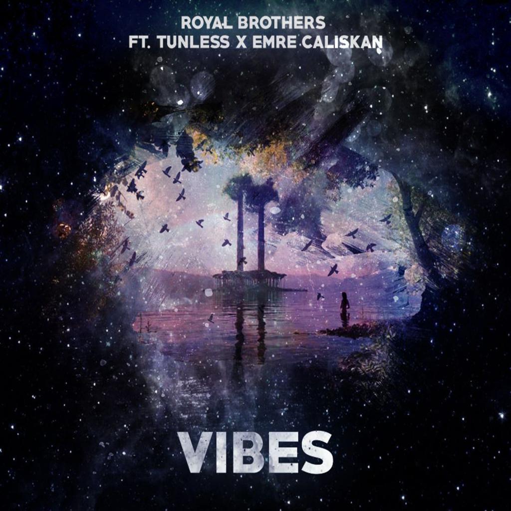 Vibes (feat. Tunless & Emre Caliskan) (Vibes)