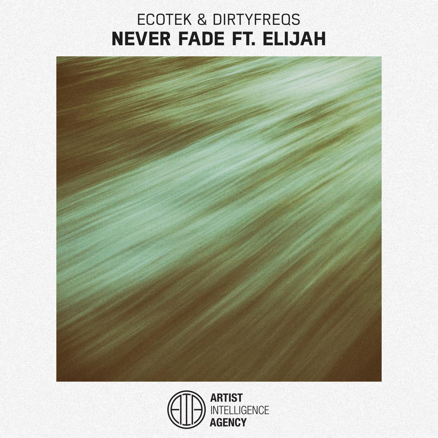 Never Fade  - Single