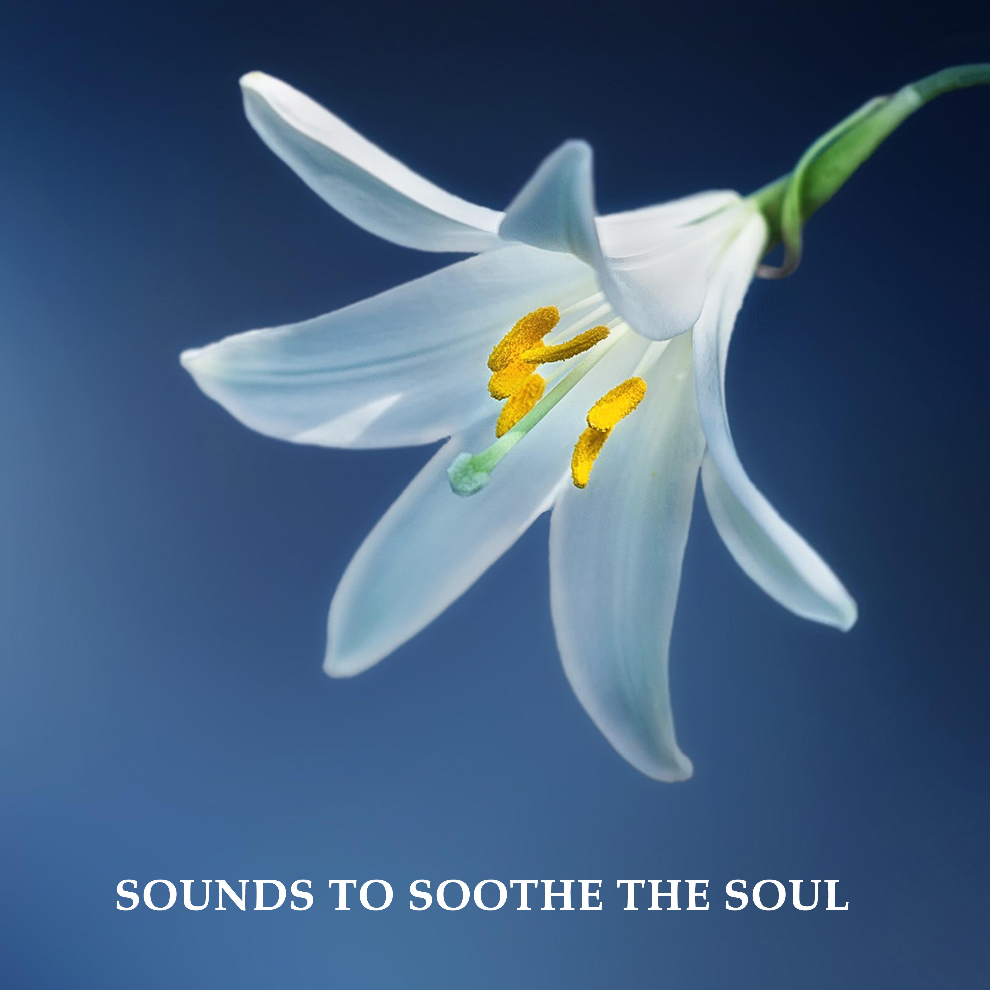 12 Sounds to Soothe the Soul