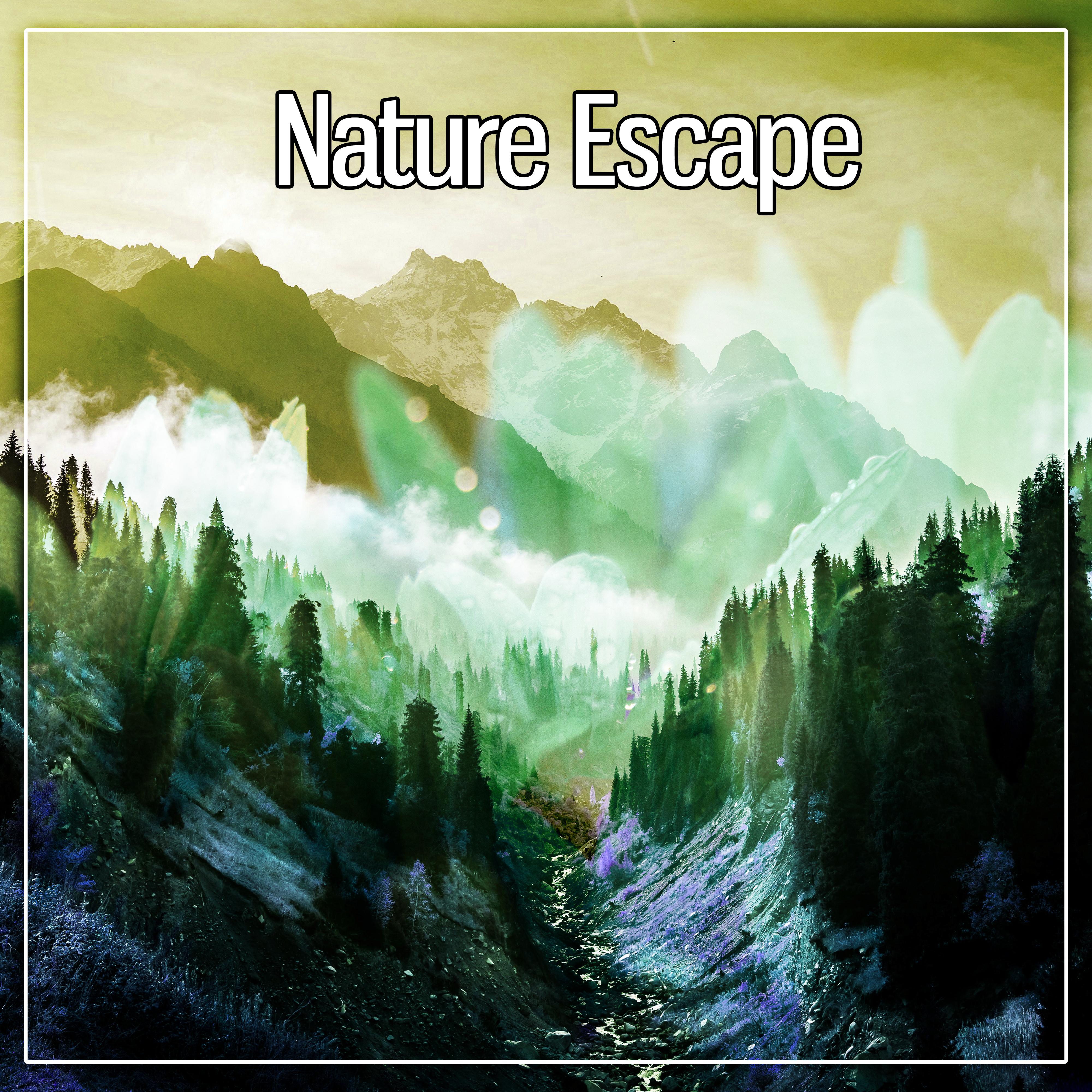 Nature Escape  Pure Relaxation, Lounge, Natural Ambience, Well Being