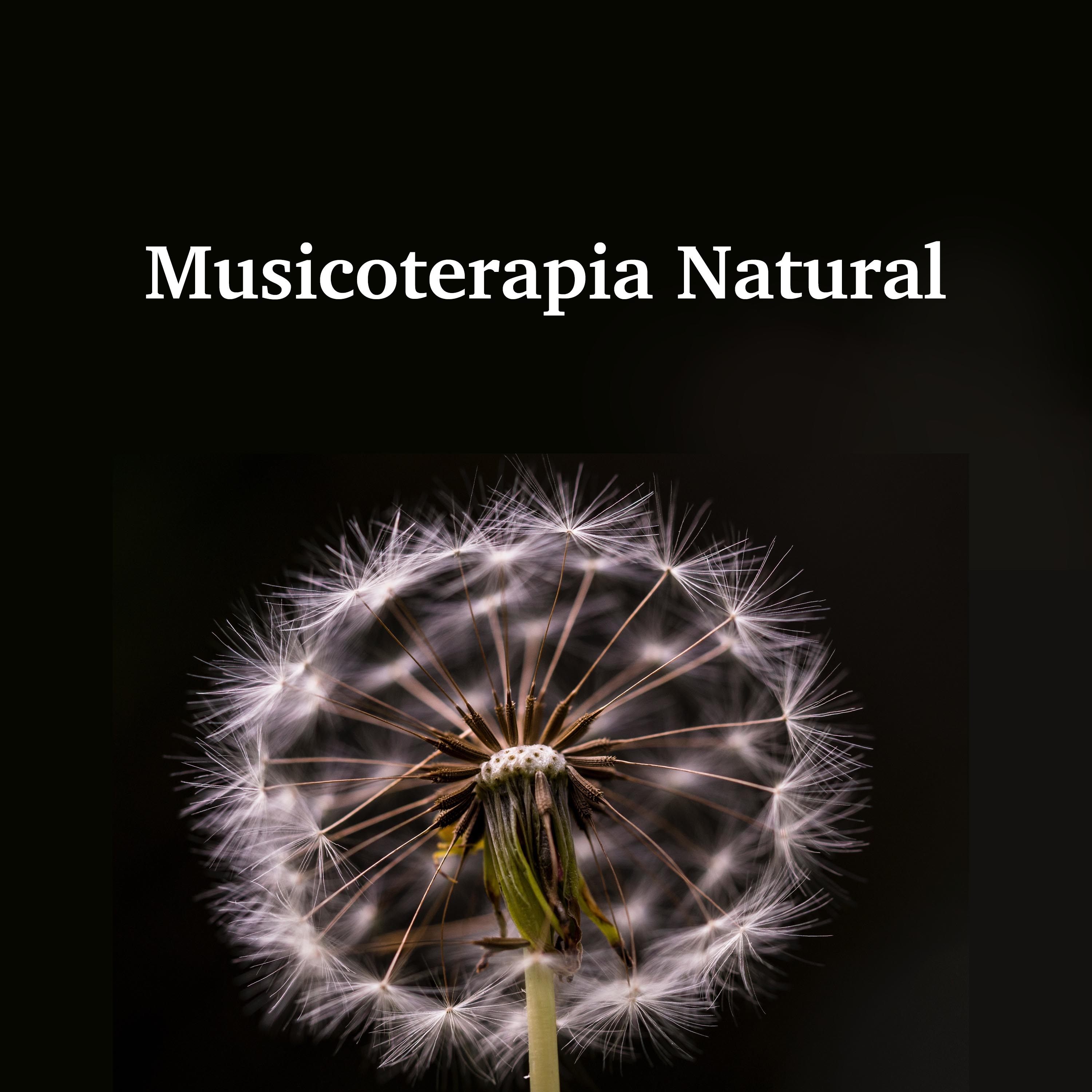 Musicoterapia Natural: Sonidos Sanadores de la Naturaleza Lluvia, Olas del Mar, Canto de los Pa jaros, Viento