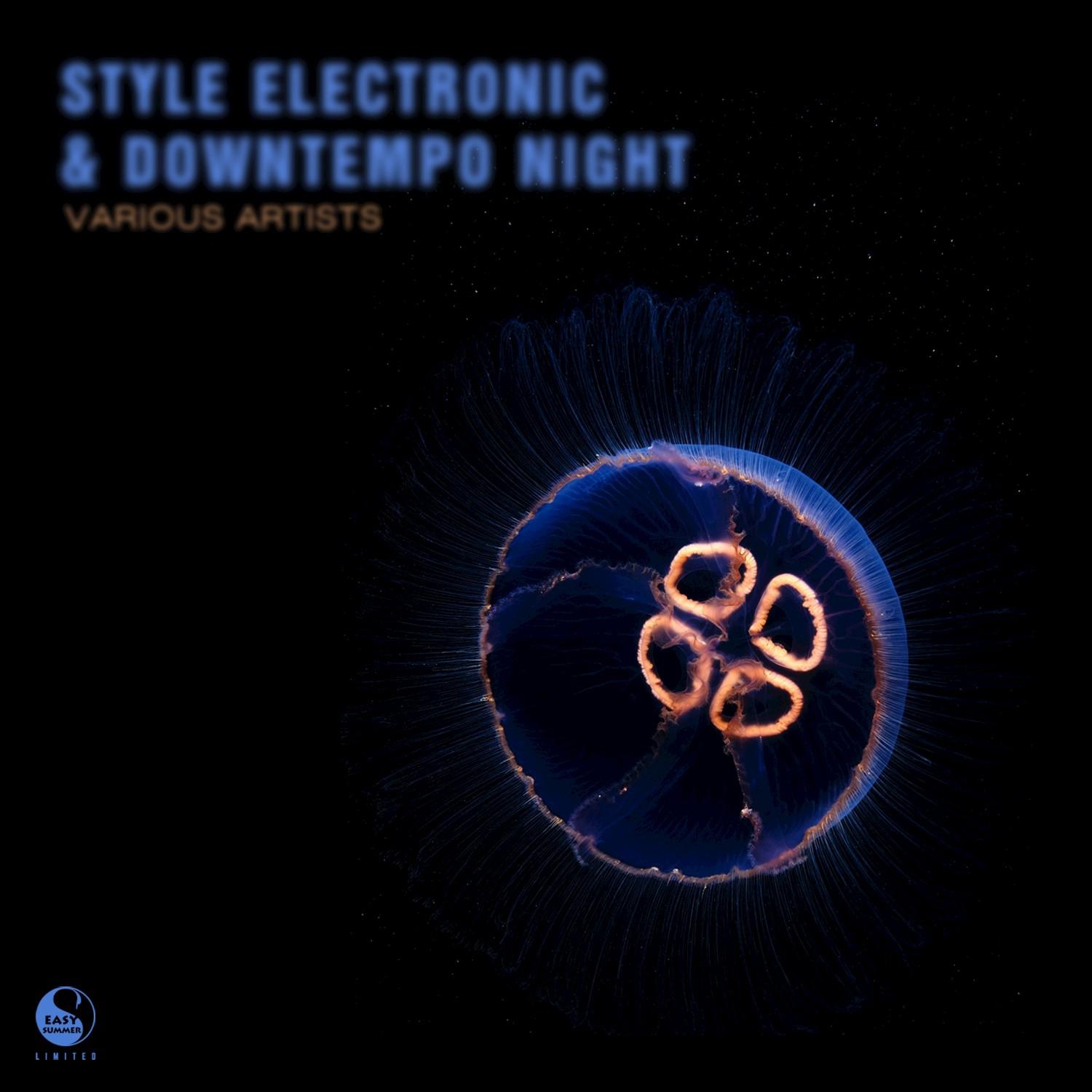 Style Electronic & Downtempo Night