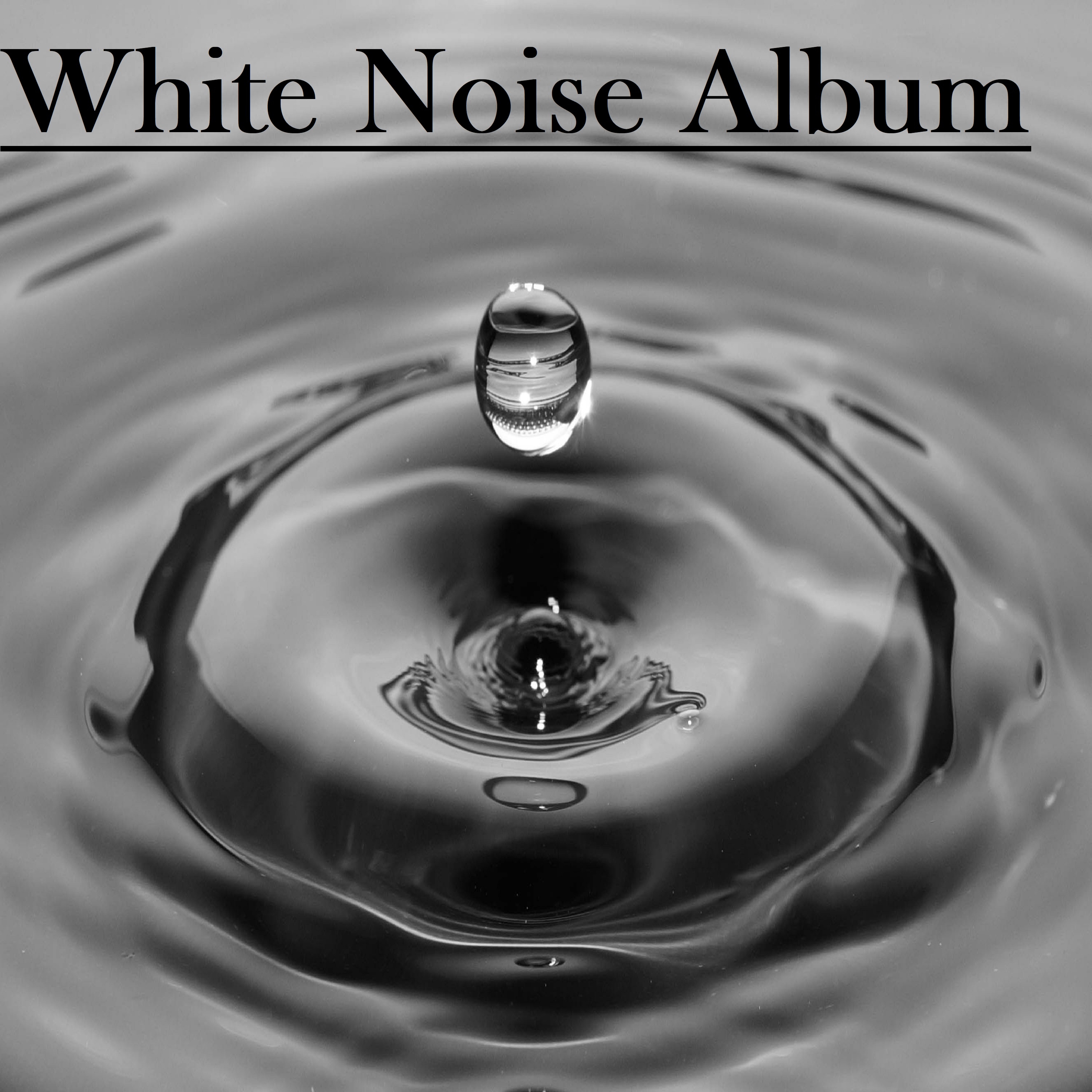 2018 New White Noise Sound Album