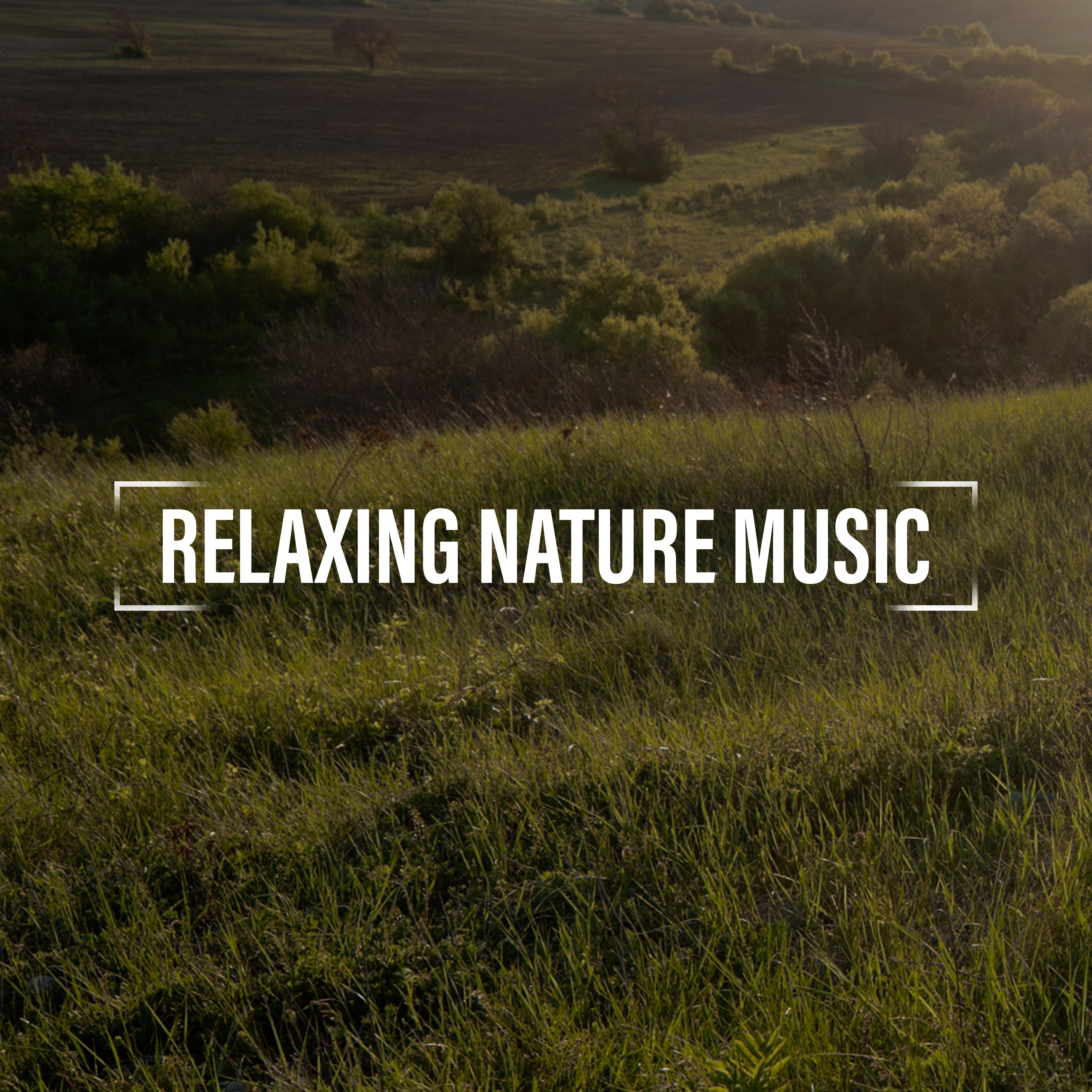 Relaxing Nature Music