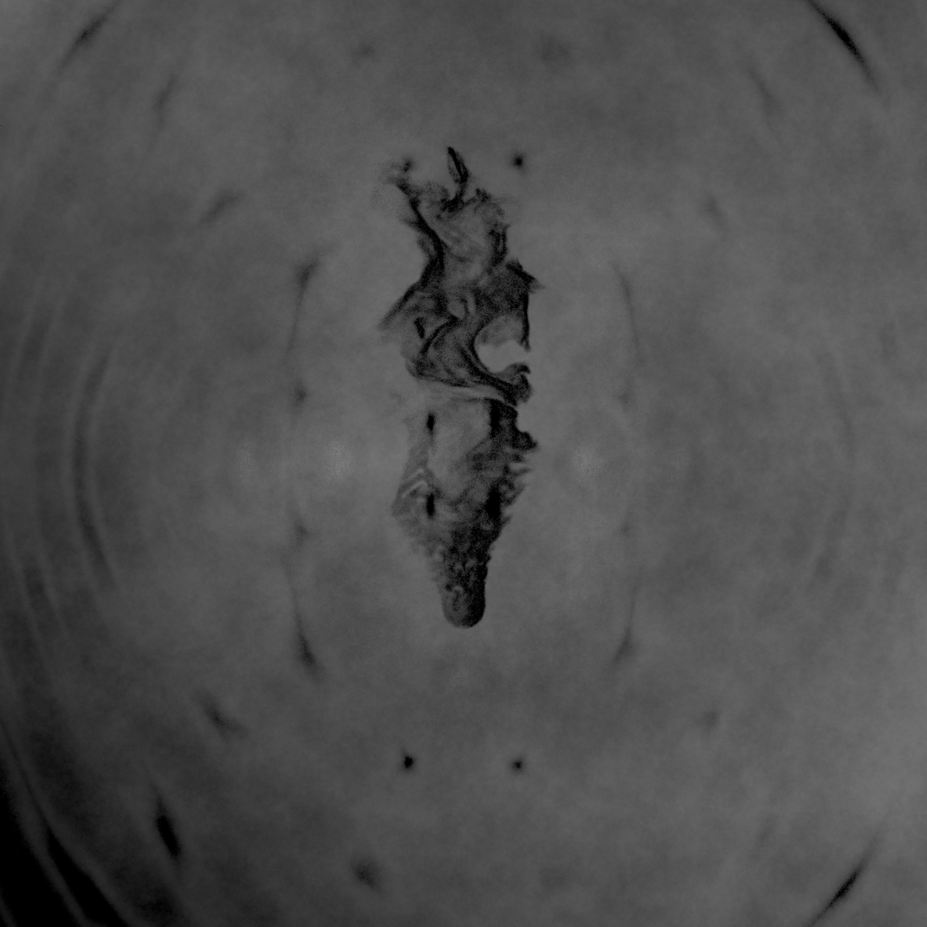 Escaping consciousness