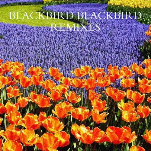 Lady Daydream (Blackbird Blackbird Remix)