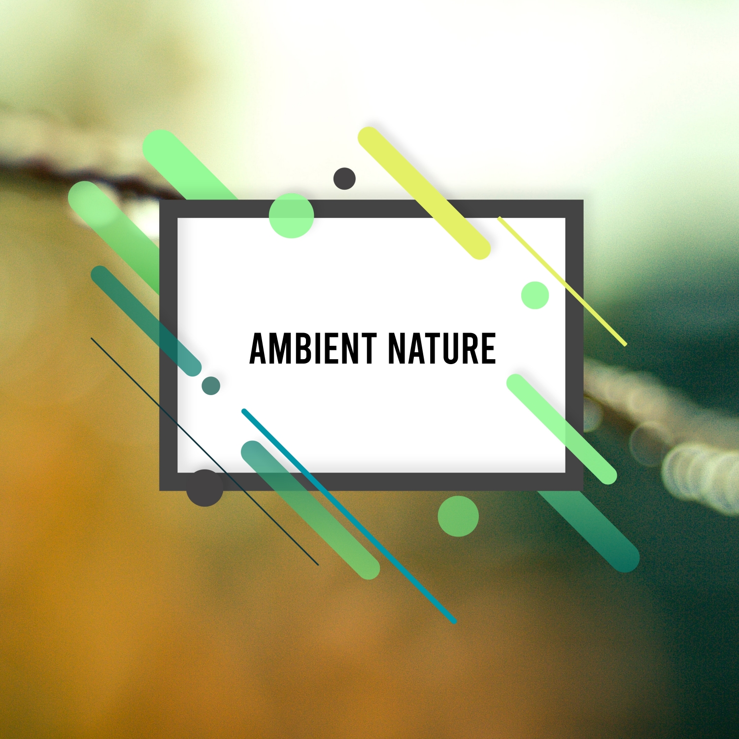 17 Meditation Ambient Nature Noises