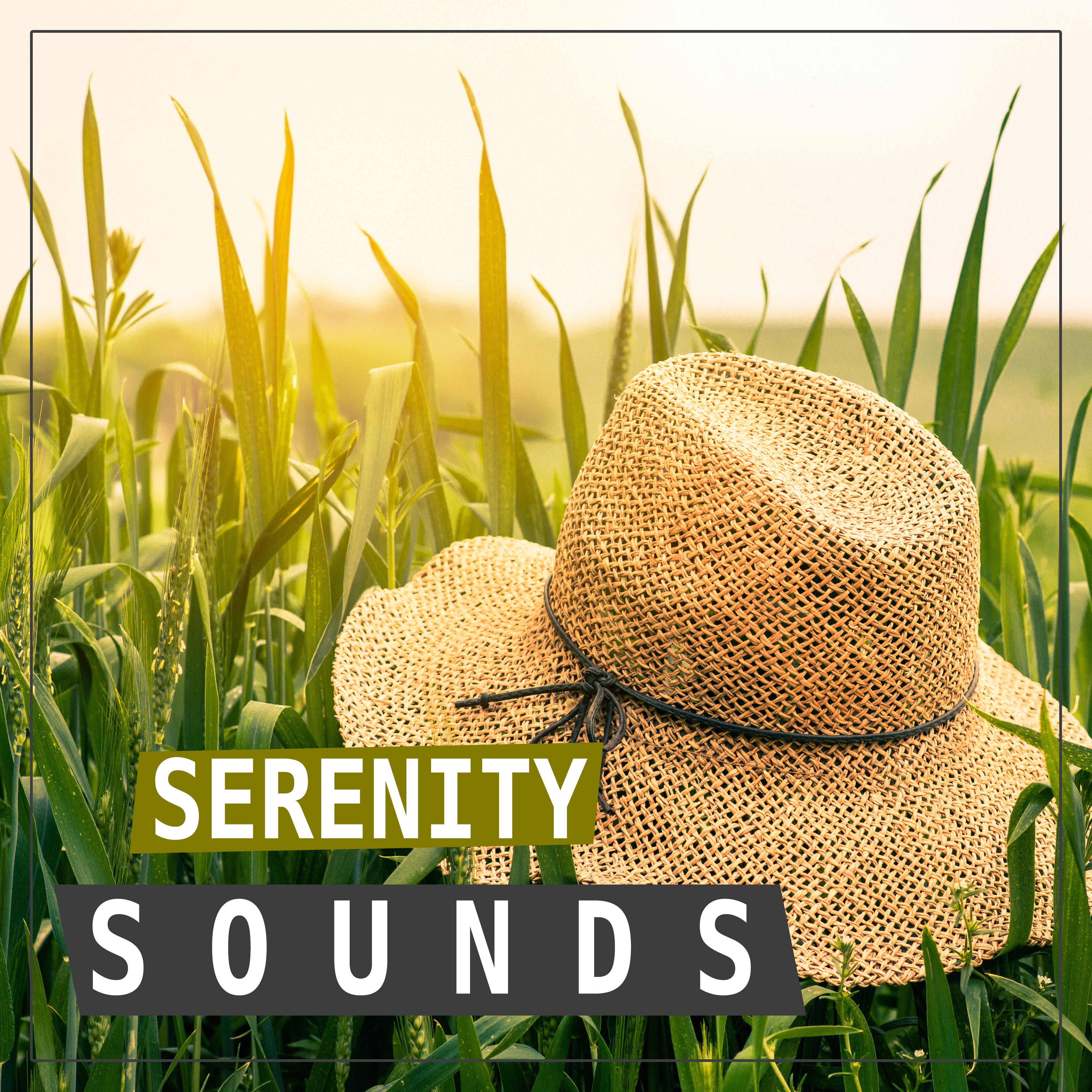 Serenity Sounds  Restful, Music for Deep Sleep