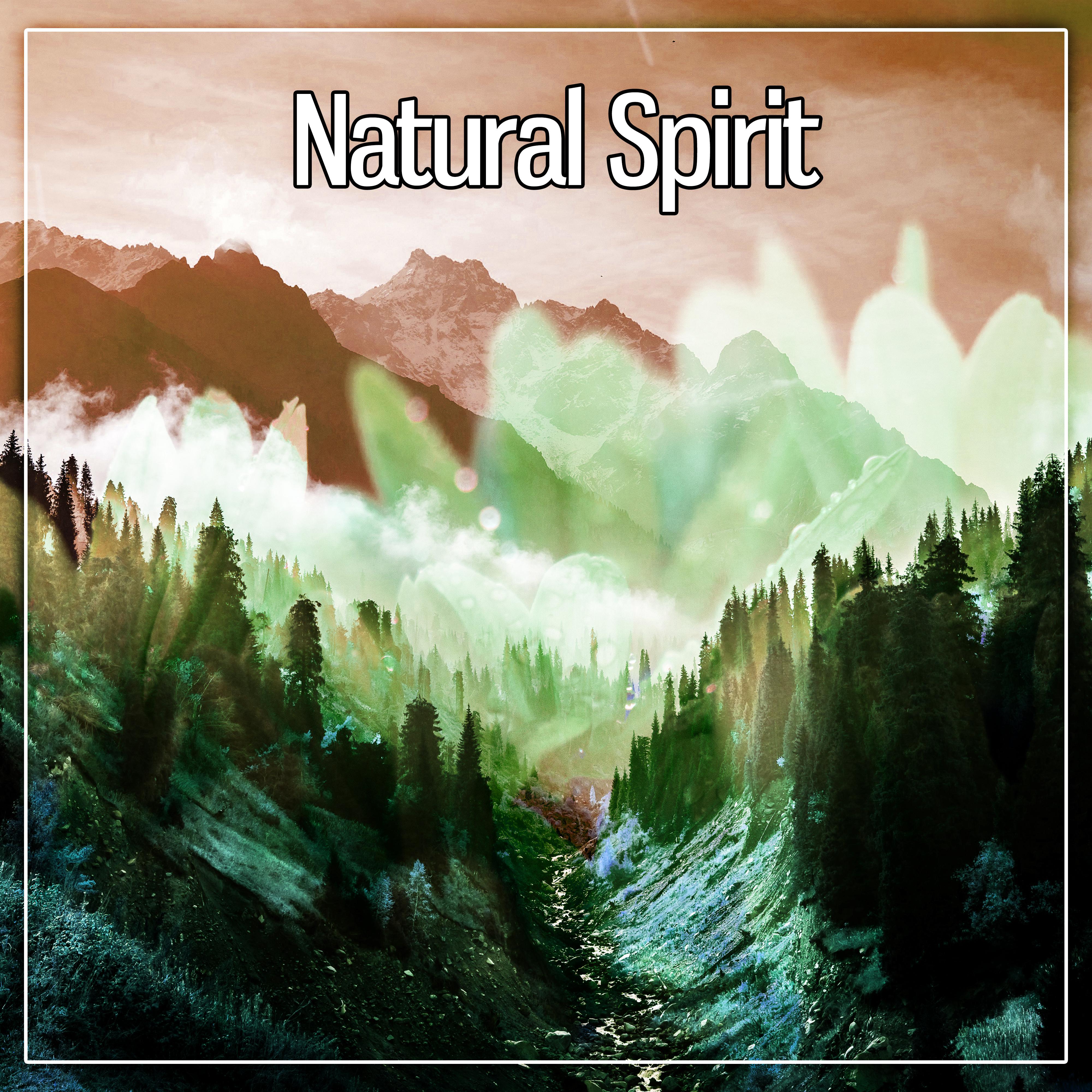 Natural Spirit  Cleanse the Spirit, Resting Sleep, Ambient, Waves Therapy, Serenity