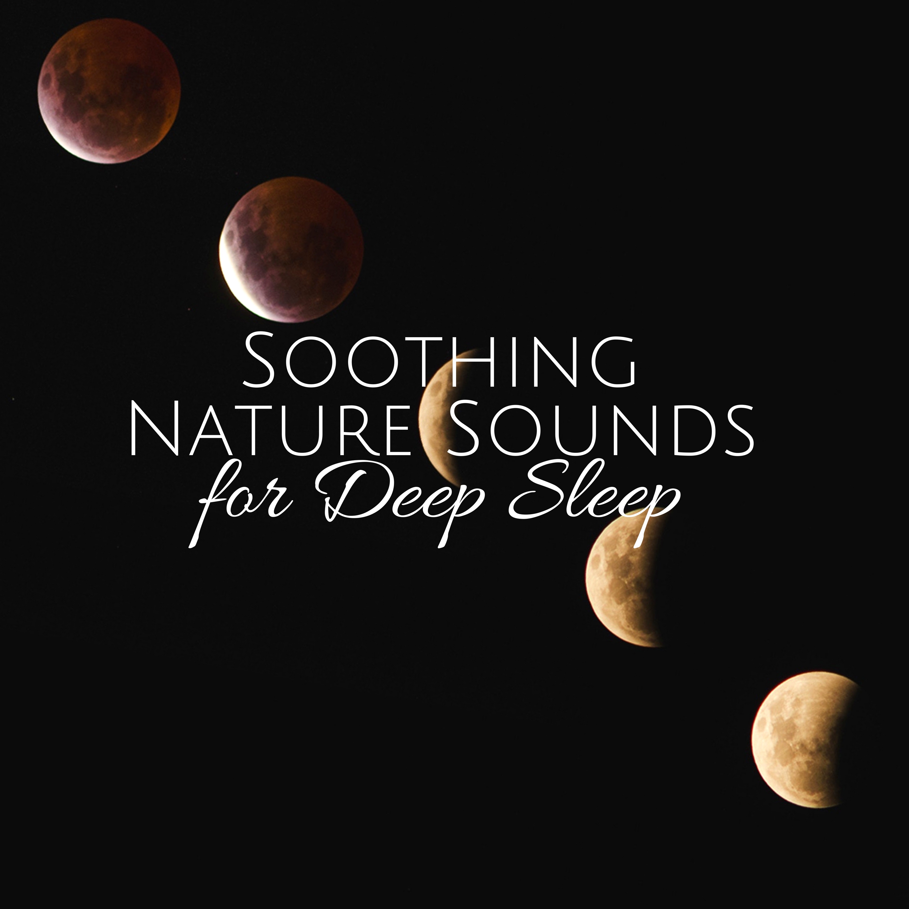 Soothing Nature Sounds for Deep Sleep