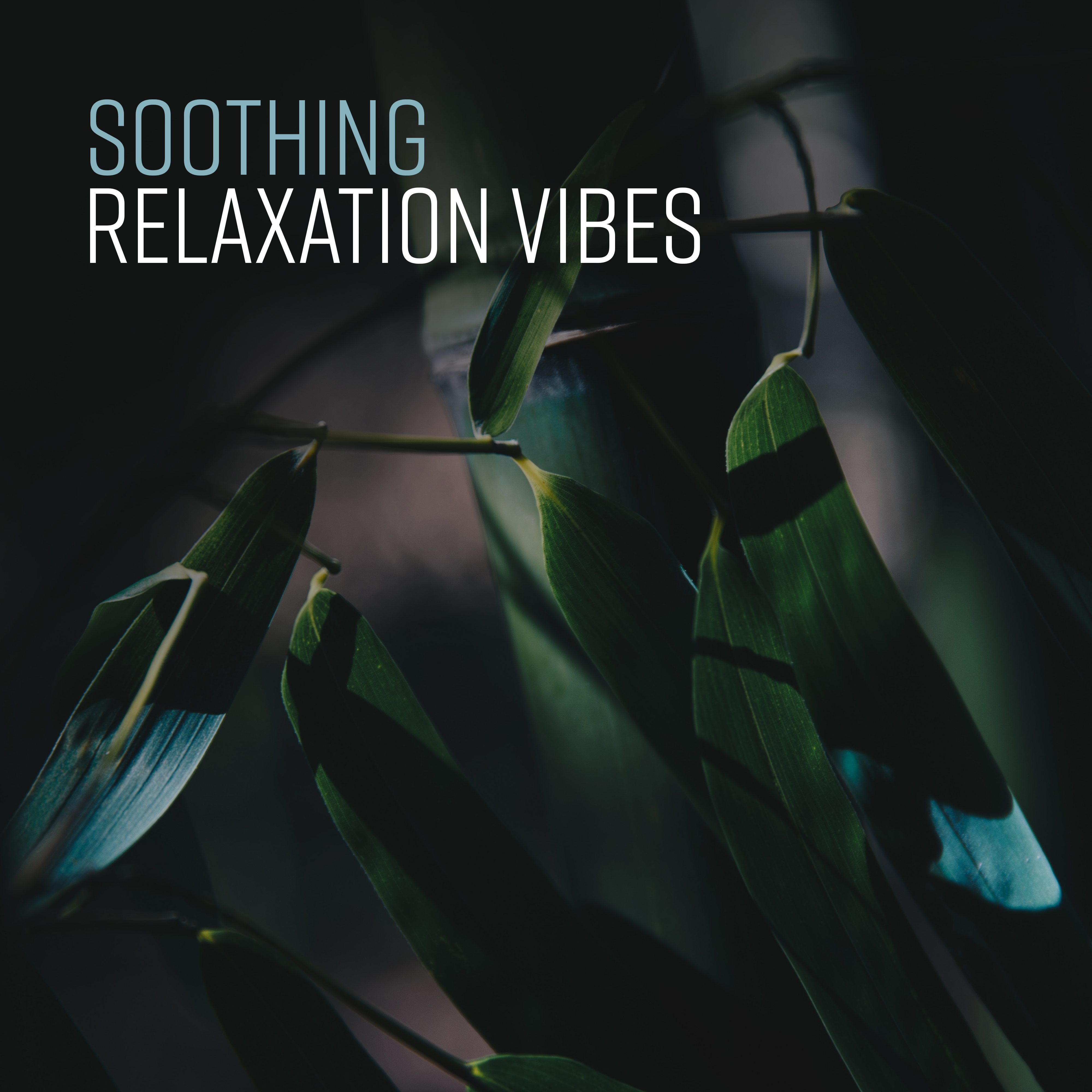 Soothing Relaxation Vibes