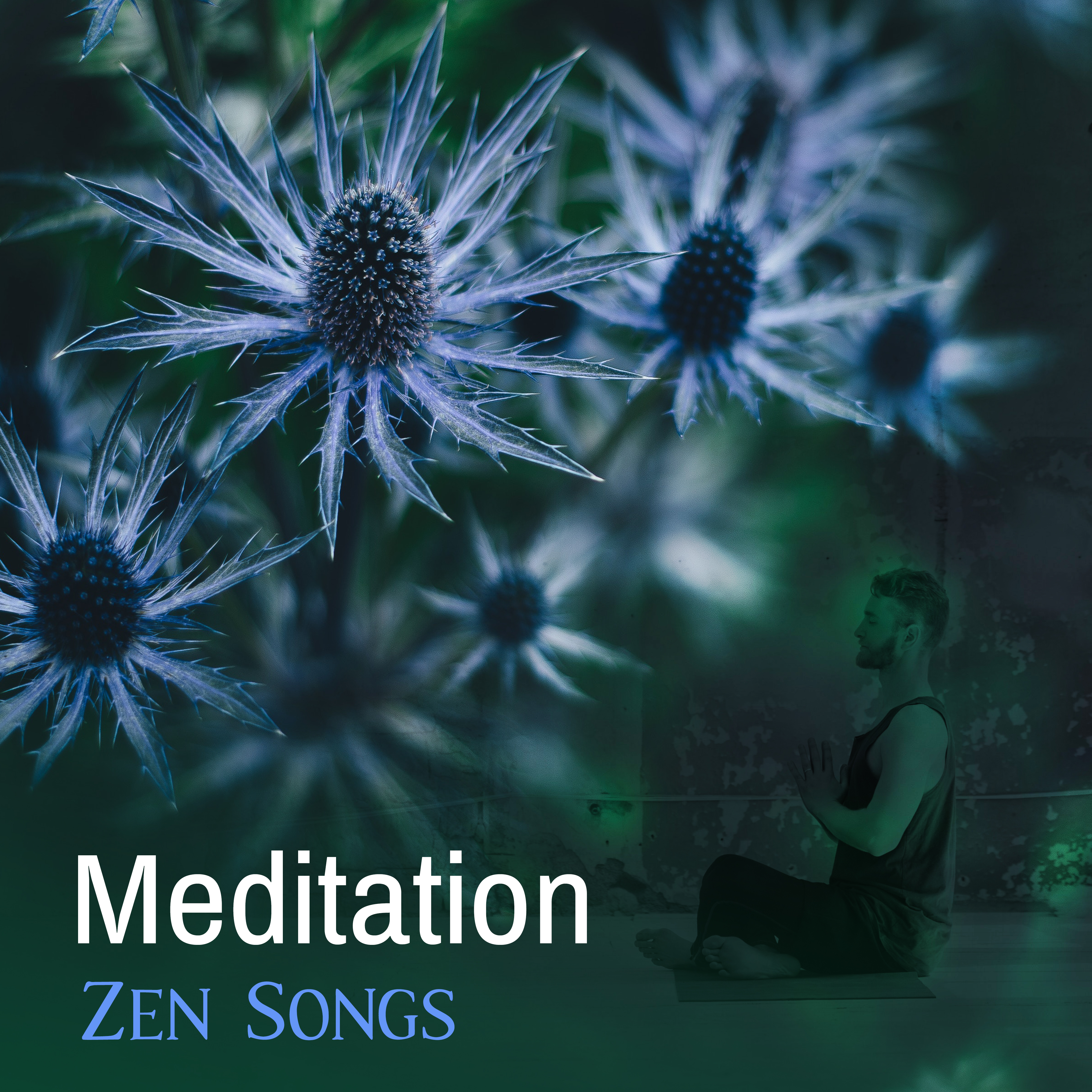 Meditation Zen Songs