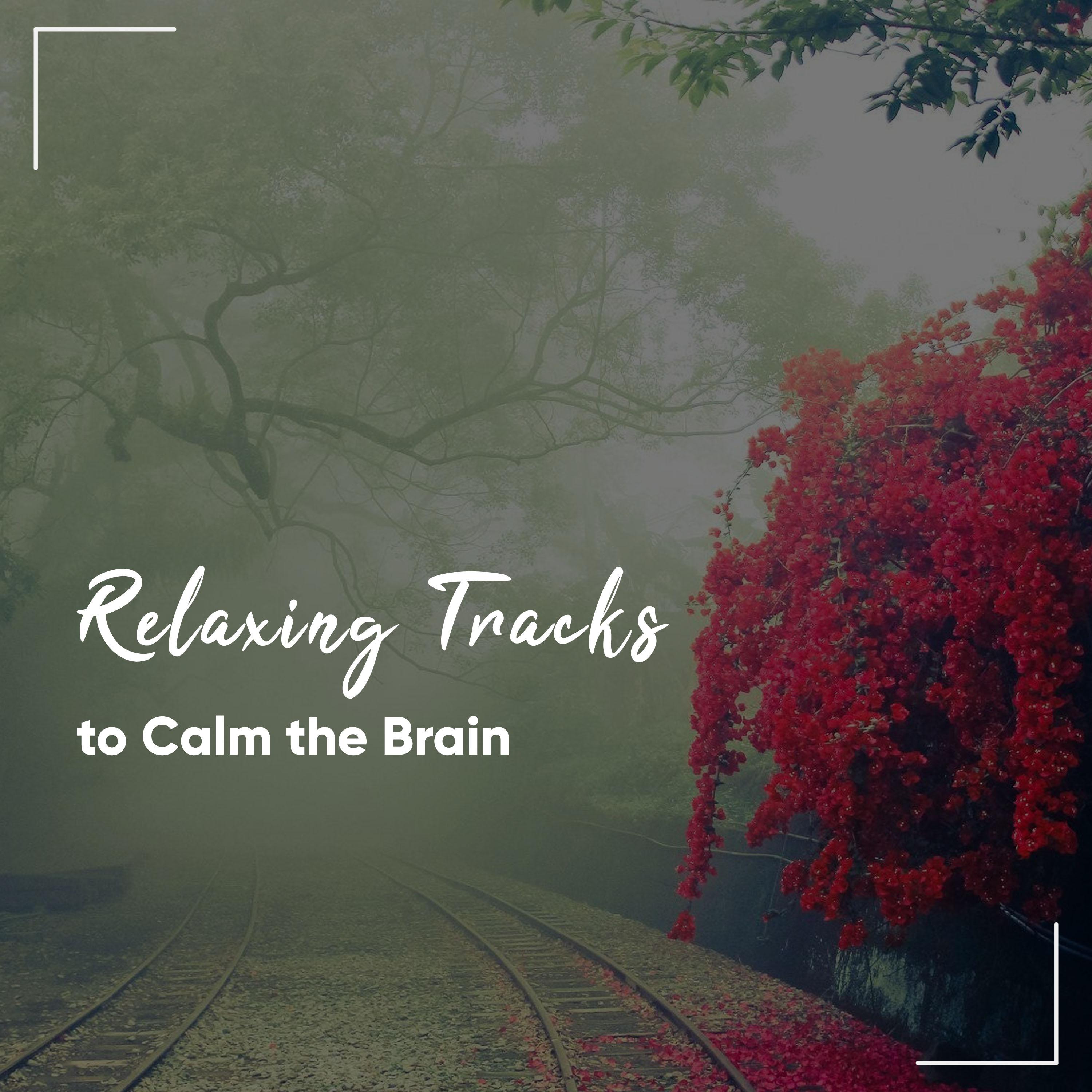 #16 Relaxing Tracks to Calm your Brain