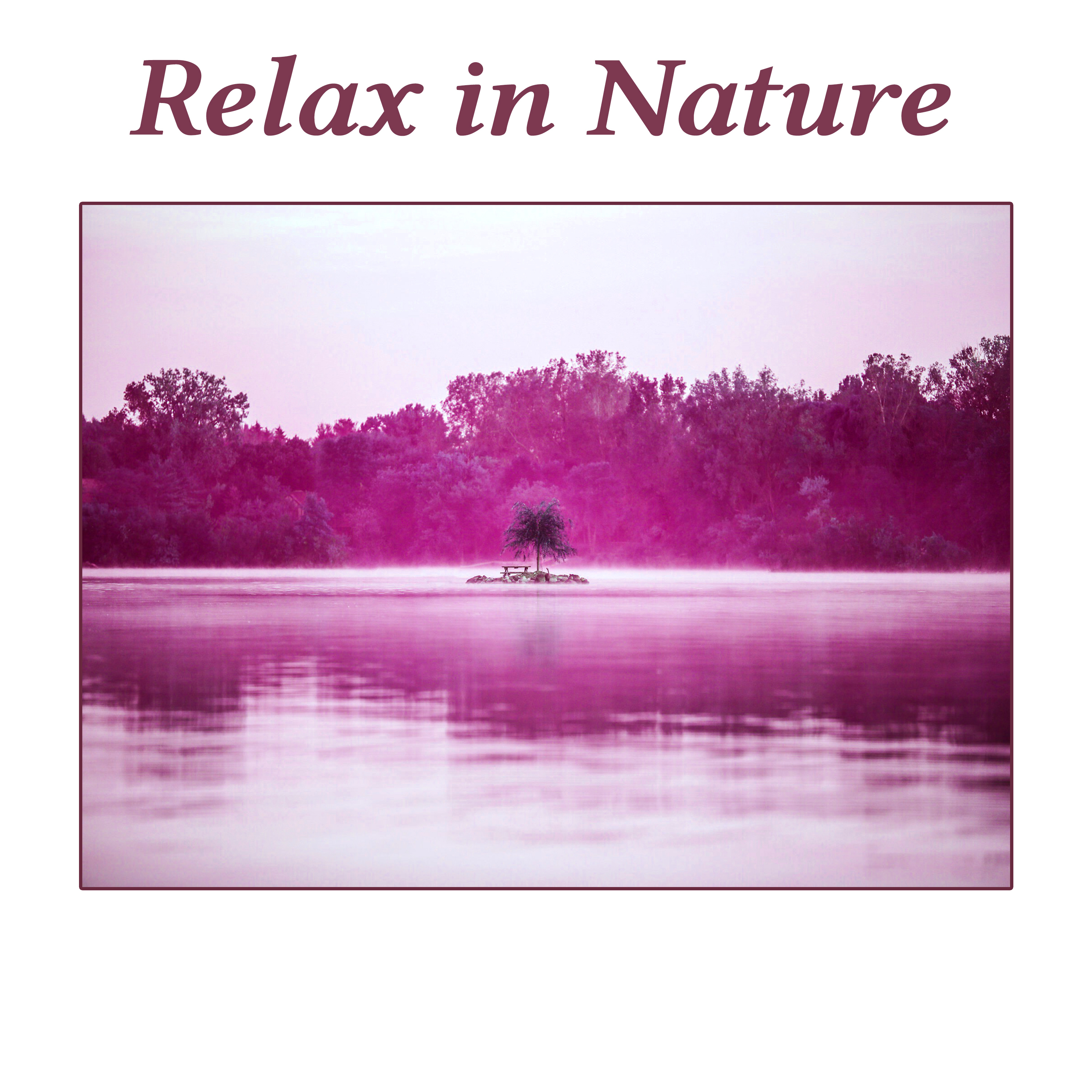 Relax in Nature  Beautiful Nature Sounds of Birds and Ocean Waves, Deep Relaxing Music, Peaceful Sounds of New Age Music for SPA, Wellness