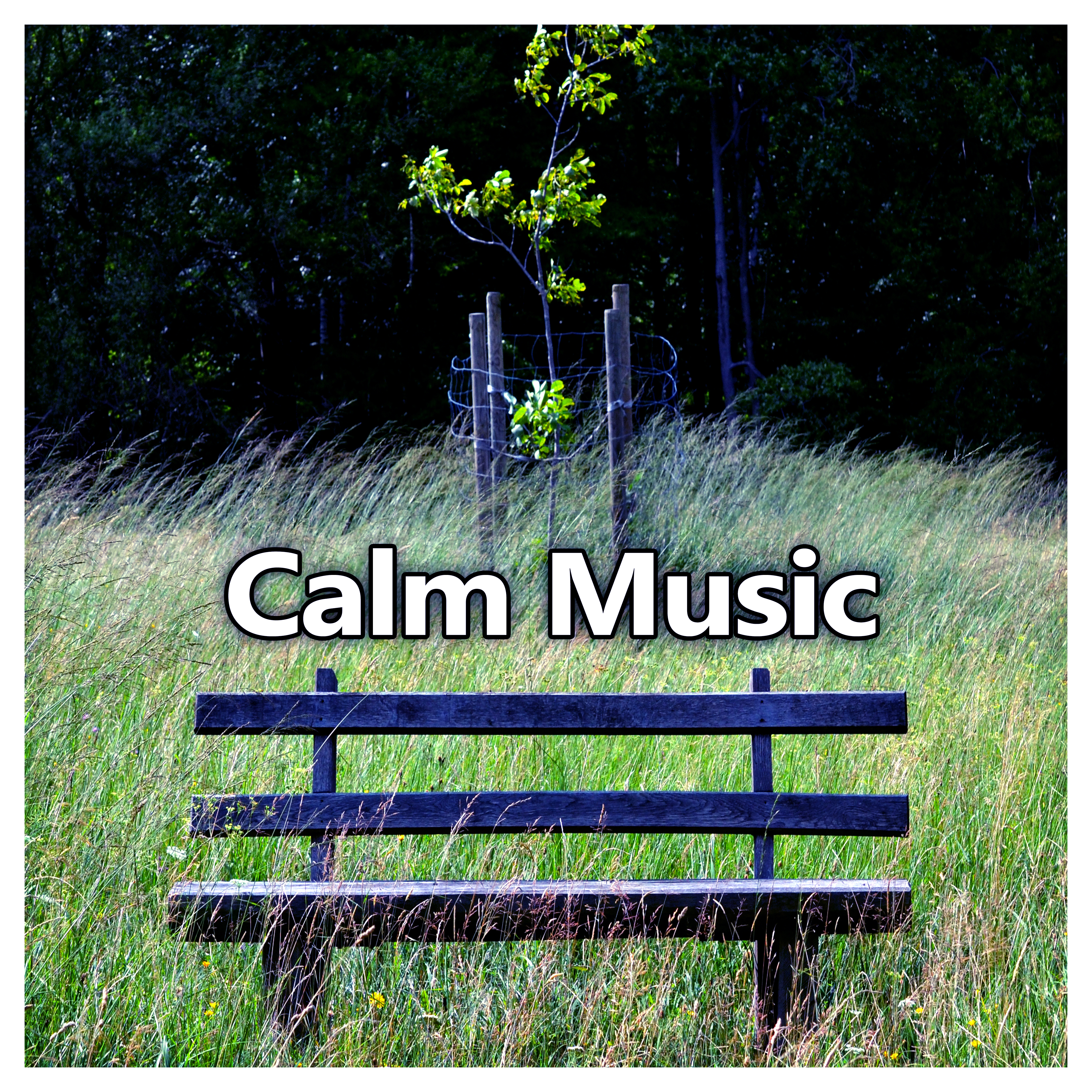 Calm Music  Deep Relaxation, Meditation, Mindfulness, Well Being, Smooth Music