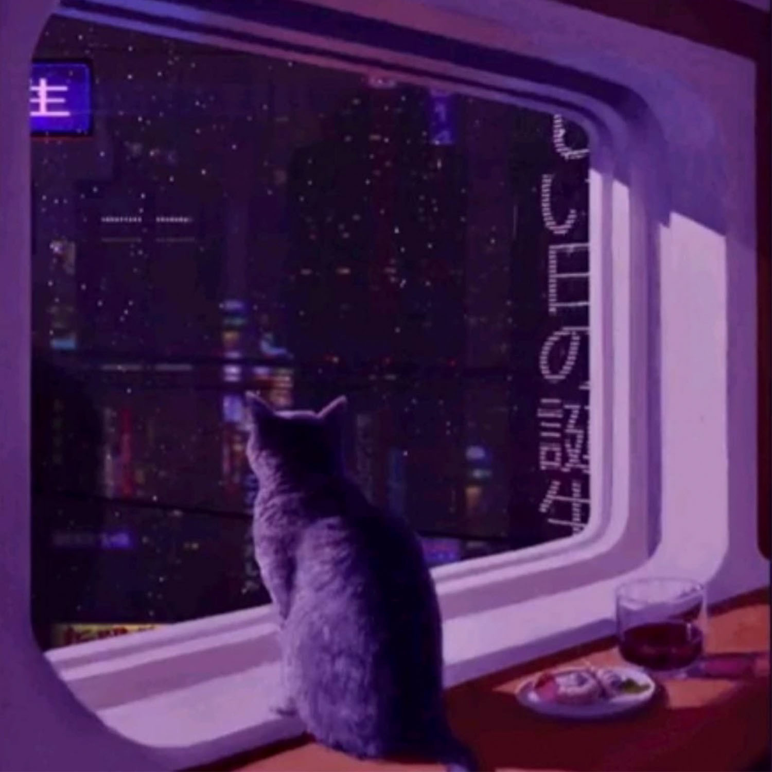 N o Va