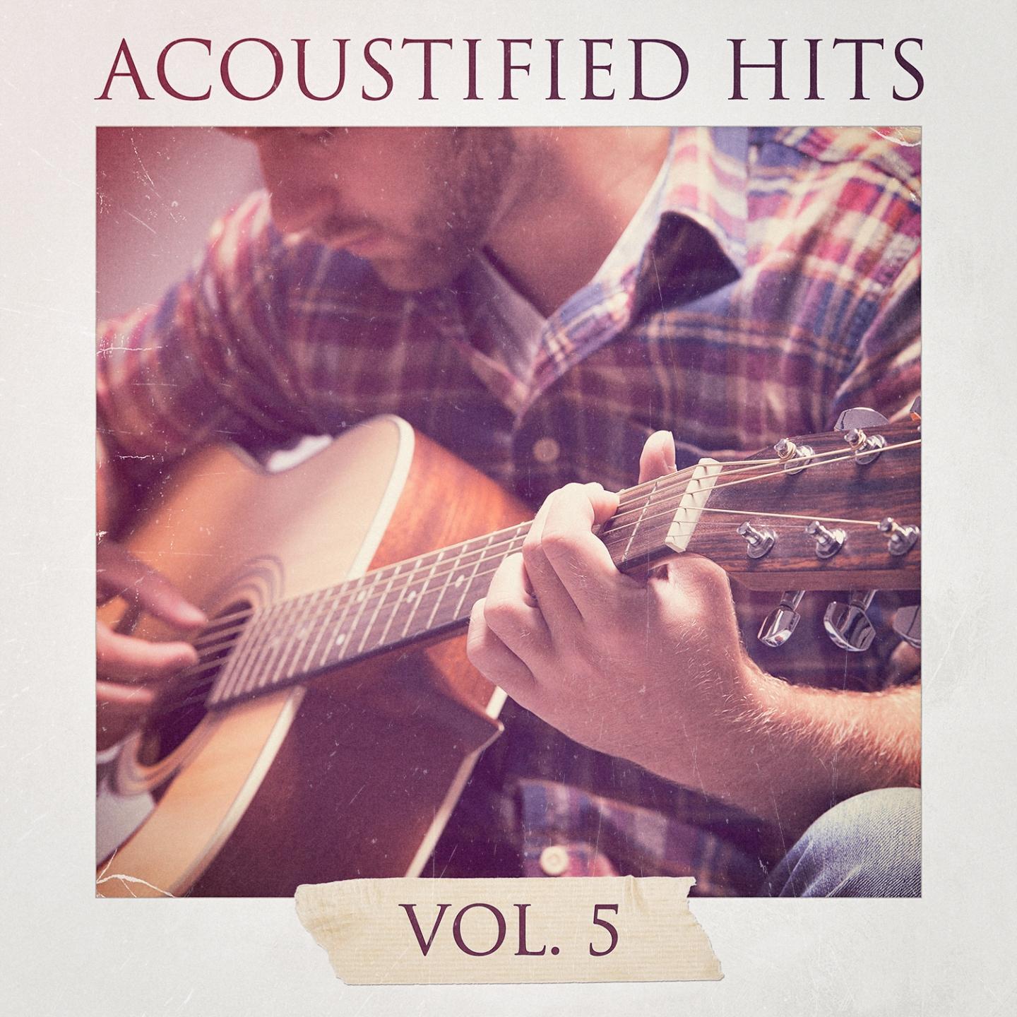 Acoustified Hits, Vol. 5