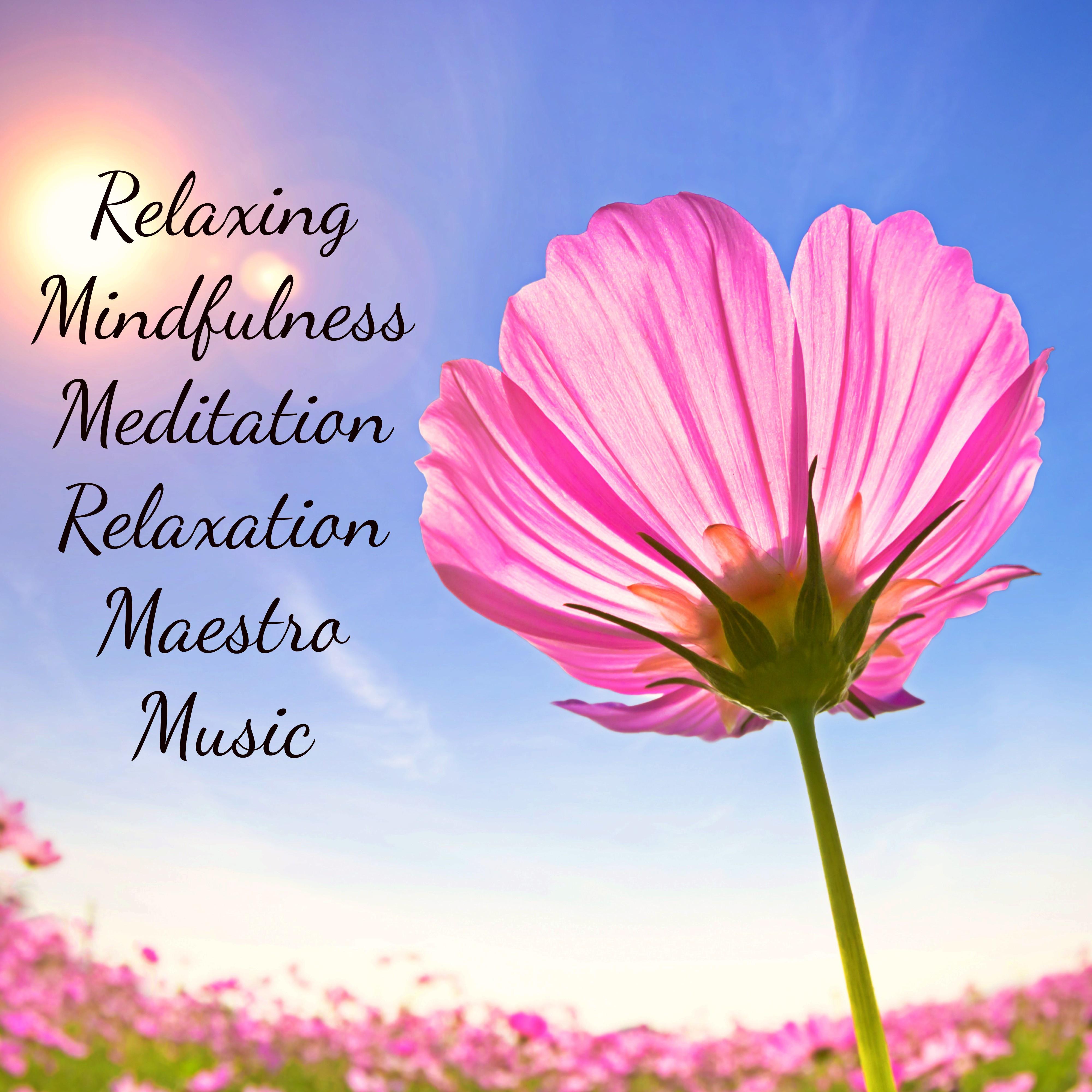 Relaxation Meditation Yoga Music