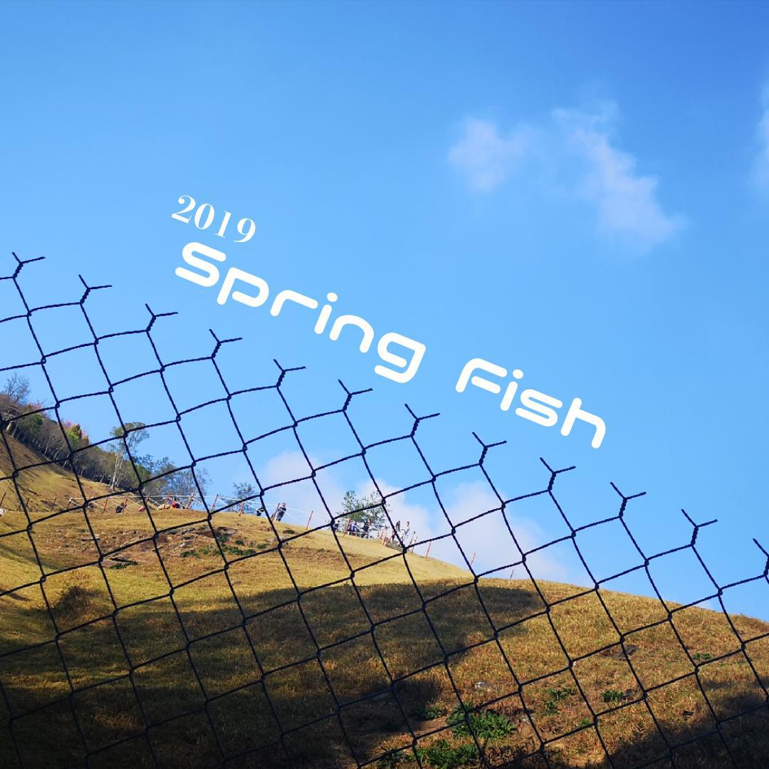 Spring Fish from 2019