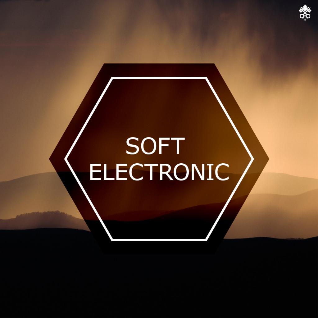 Soft Electronic