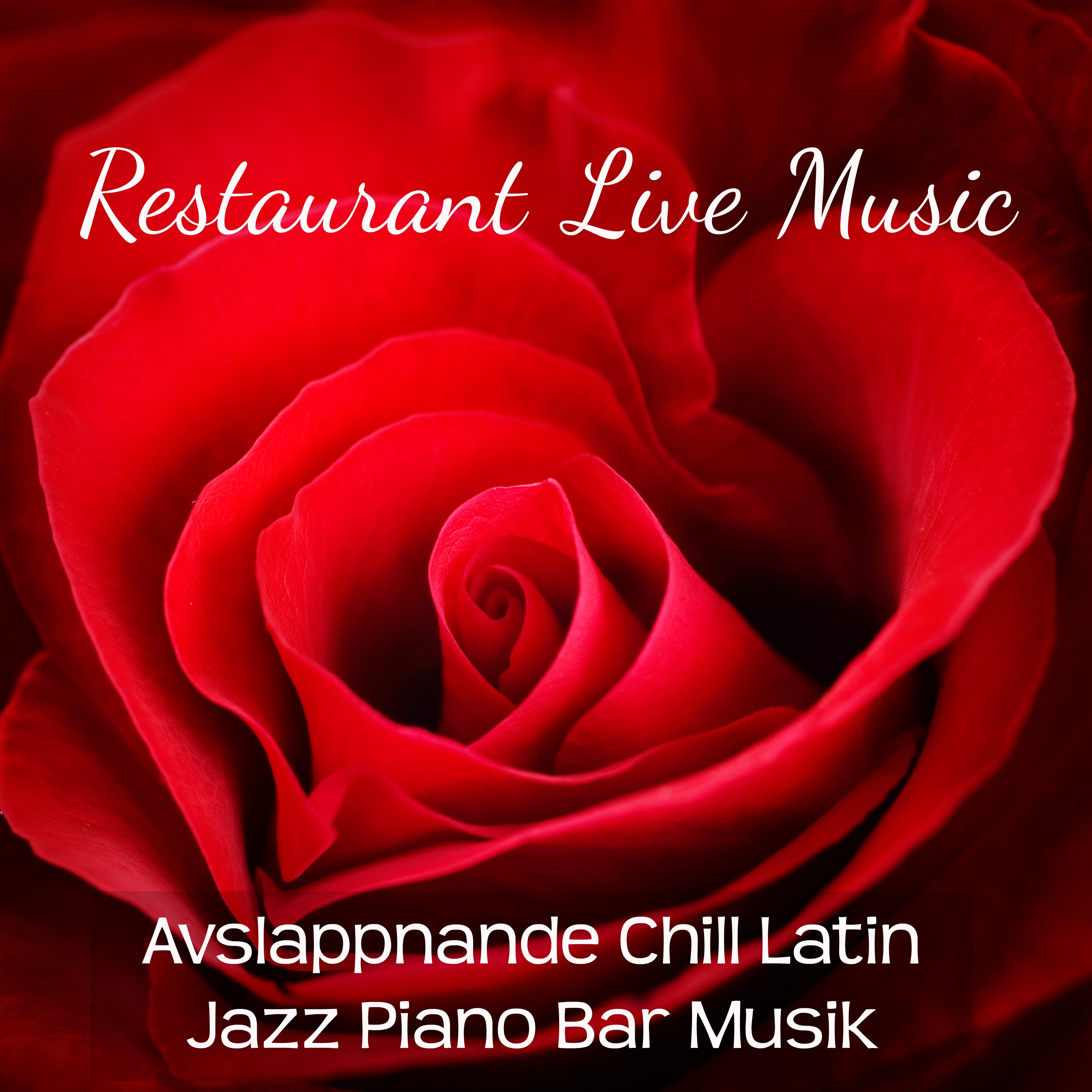 Restaurant Live Music  Avslappnande Chill Latin Jazz Piano Bar Musik f r Romantisk Kv ll och Sensuell Massage