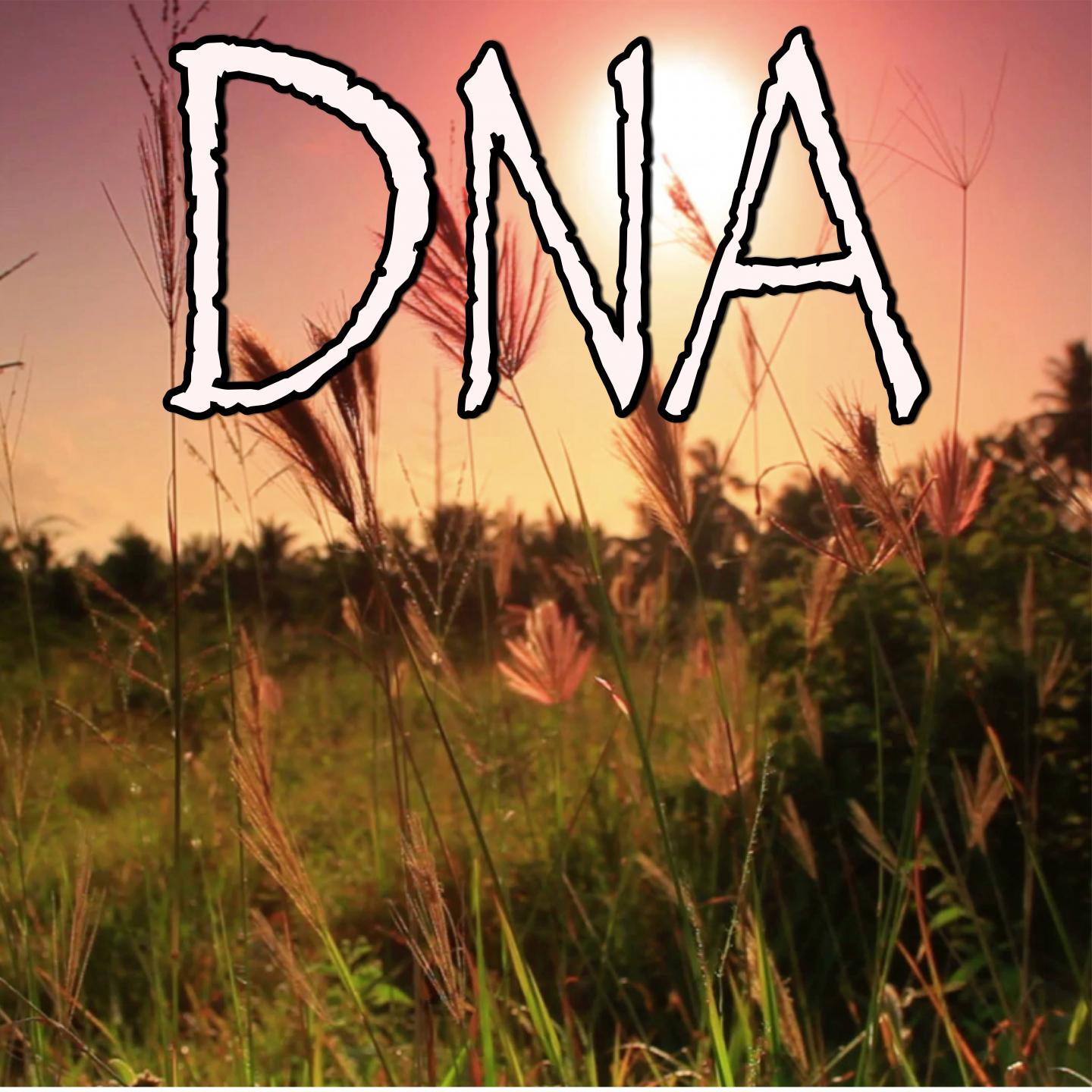 DNA - Tribute to Kendrick Lamar