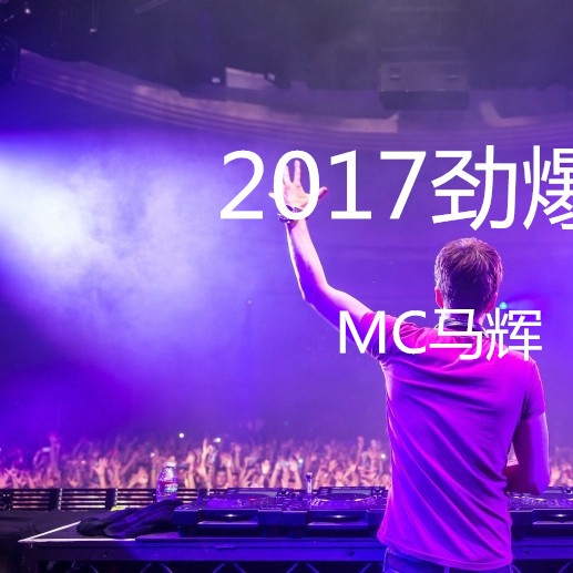 2017 jin bao DJ