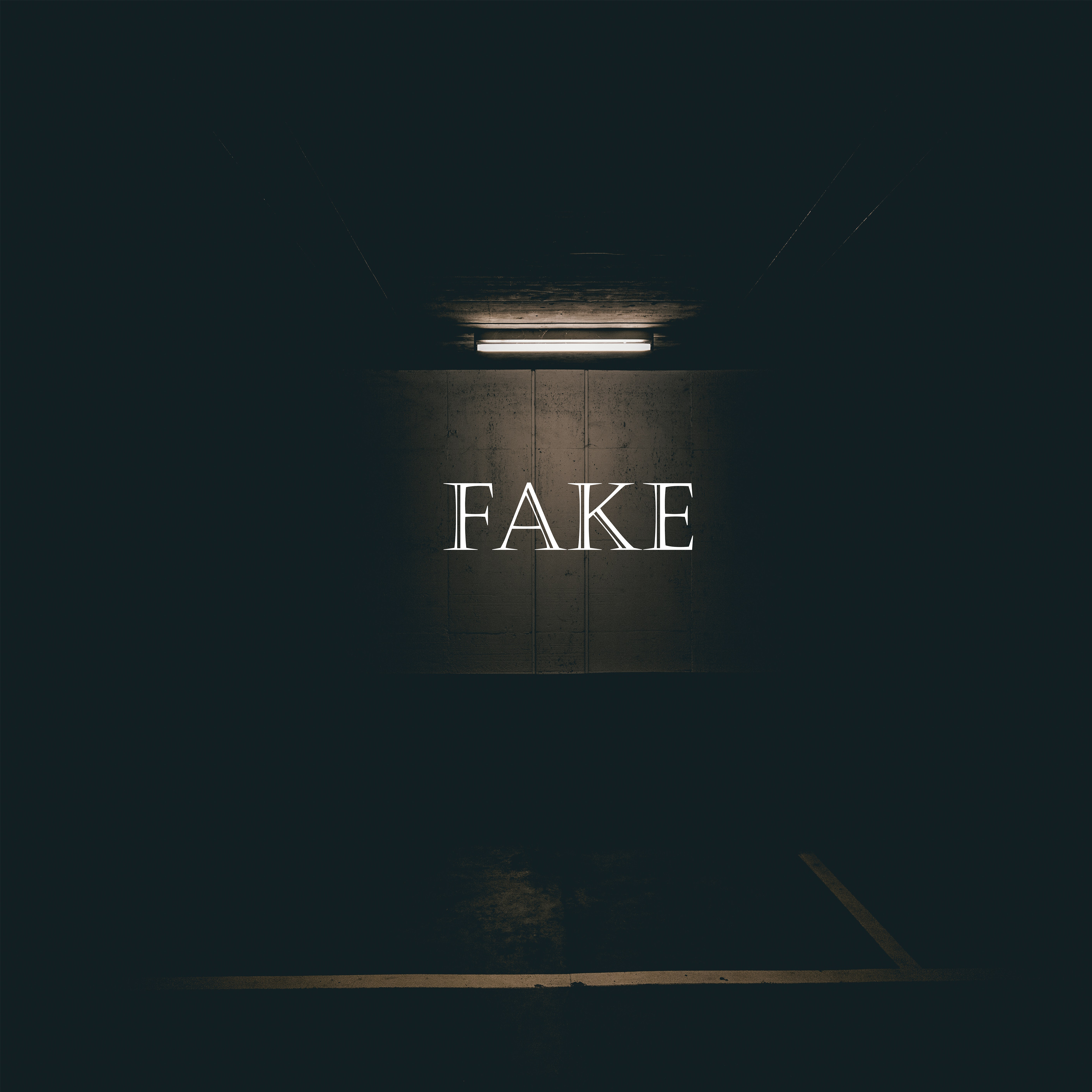 Fake